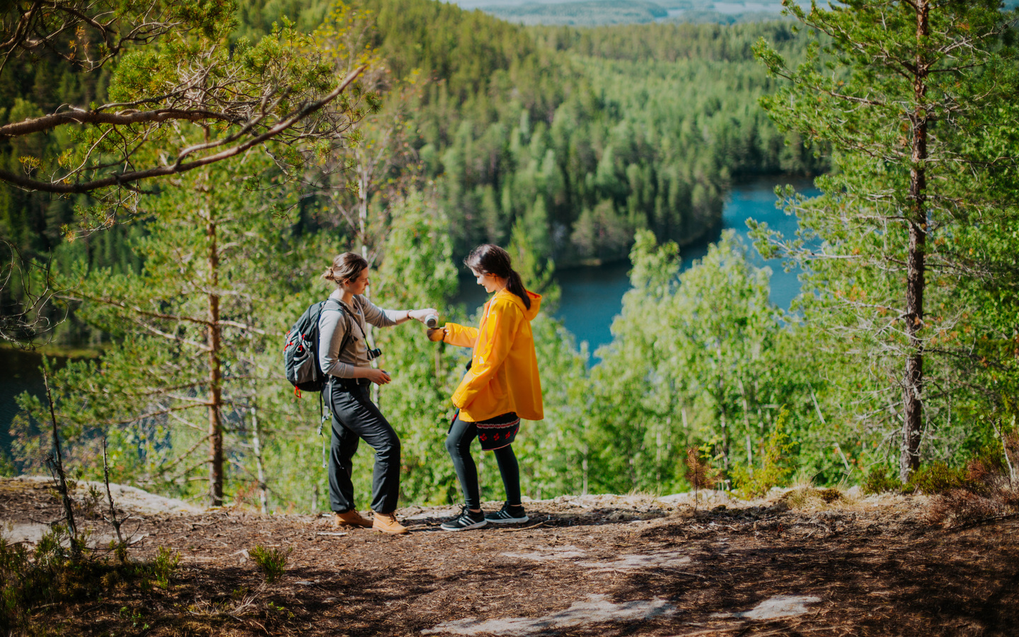 southern konnevesi national park, finland, lakeland