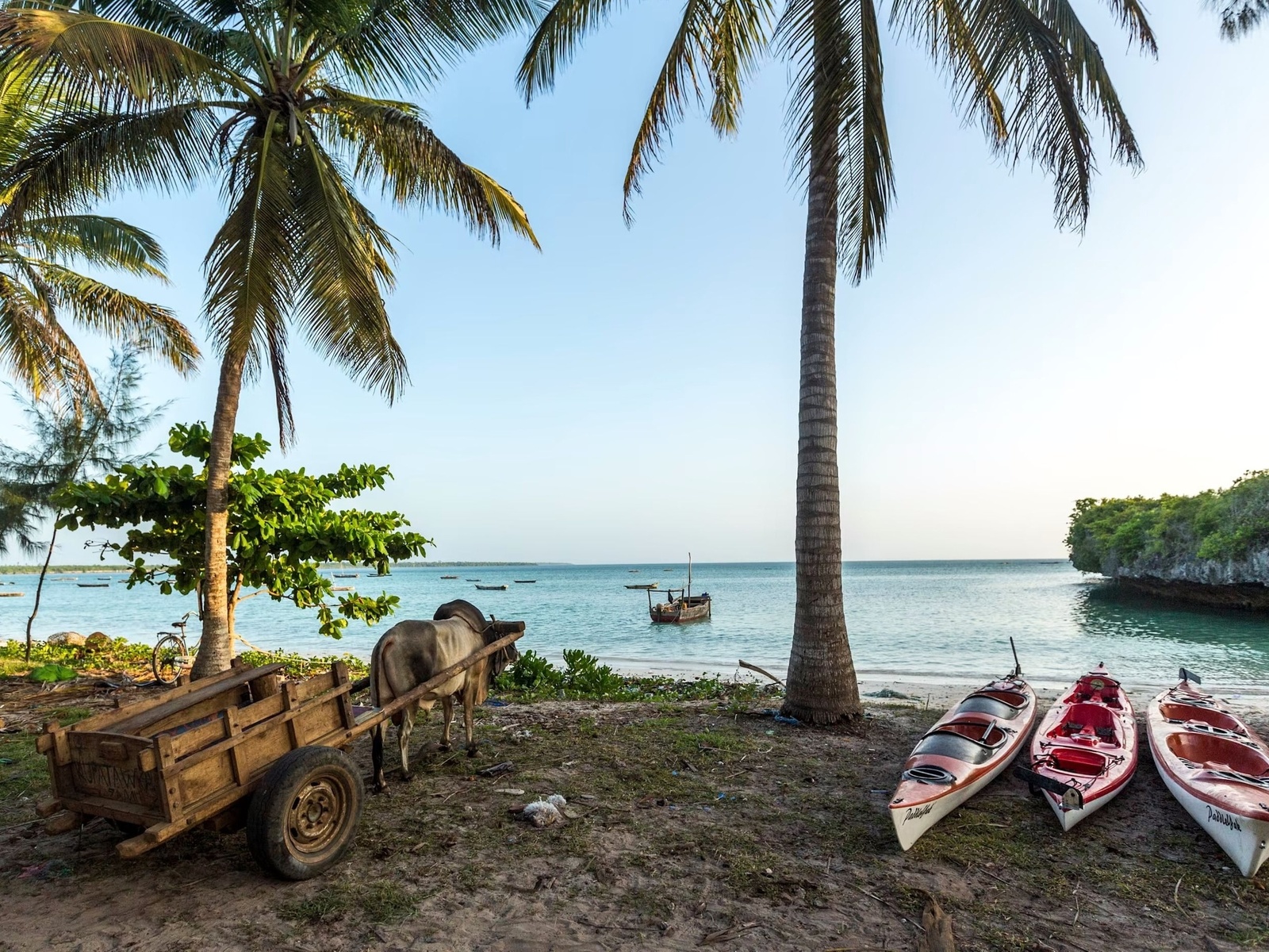 indian ocean, zanzibar, kayaking