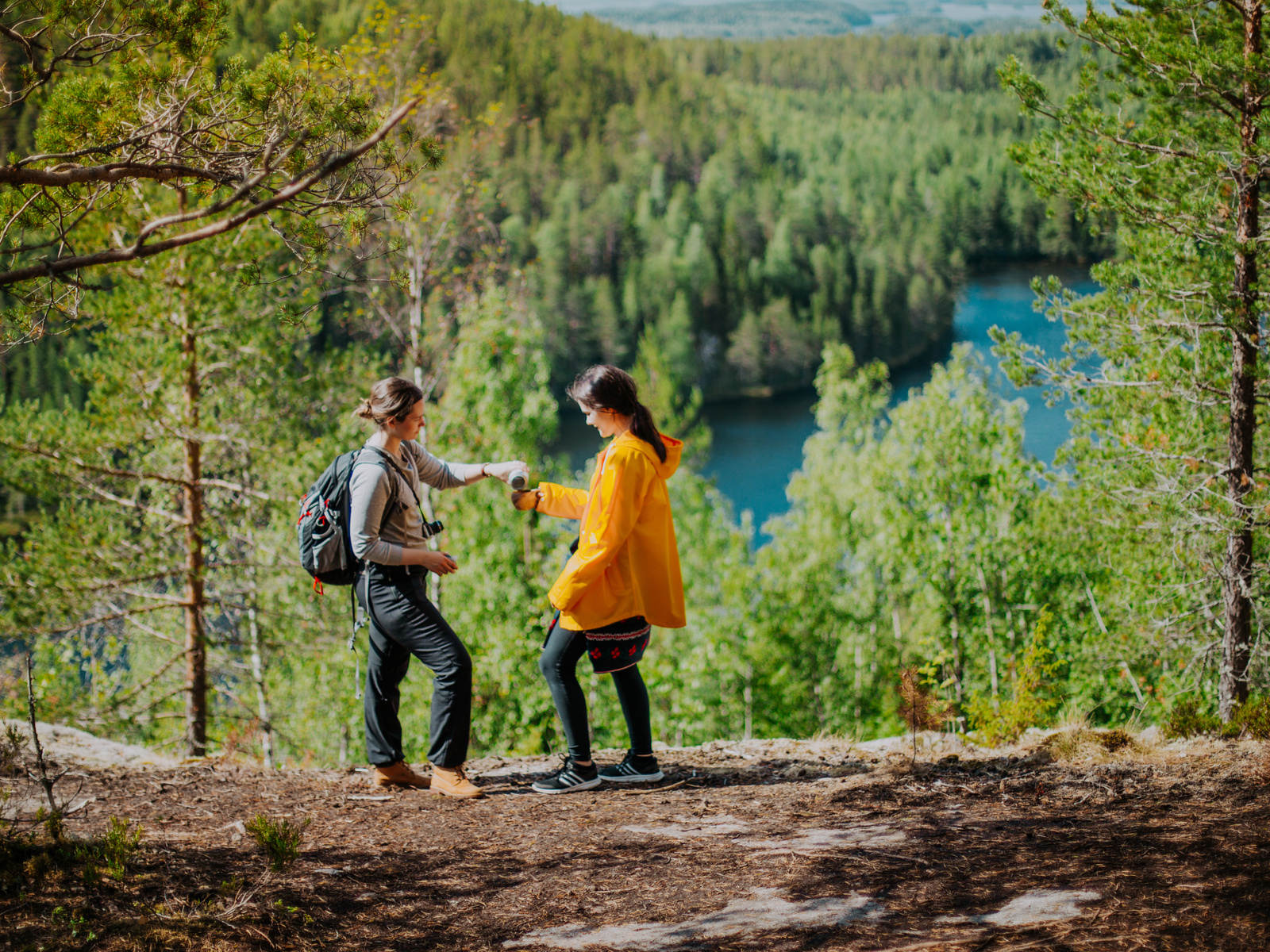 southern konnevesi national park, finland, lakeland