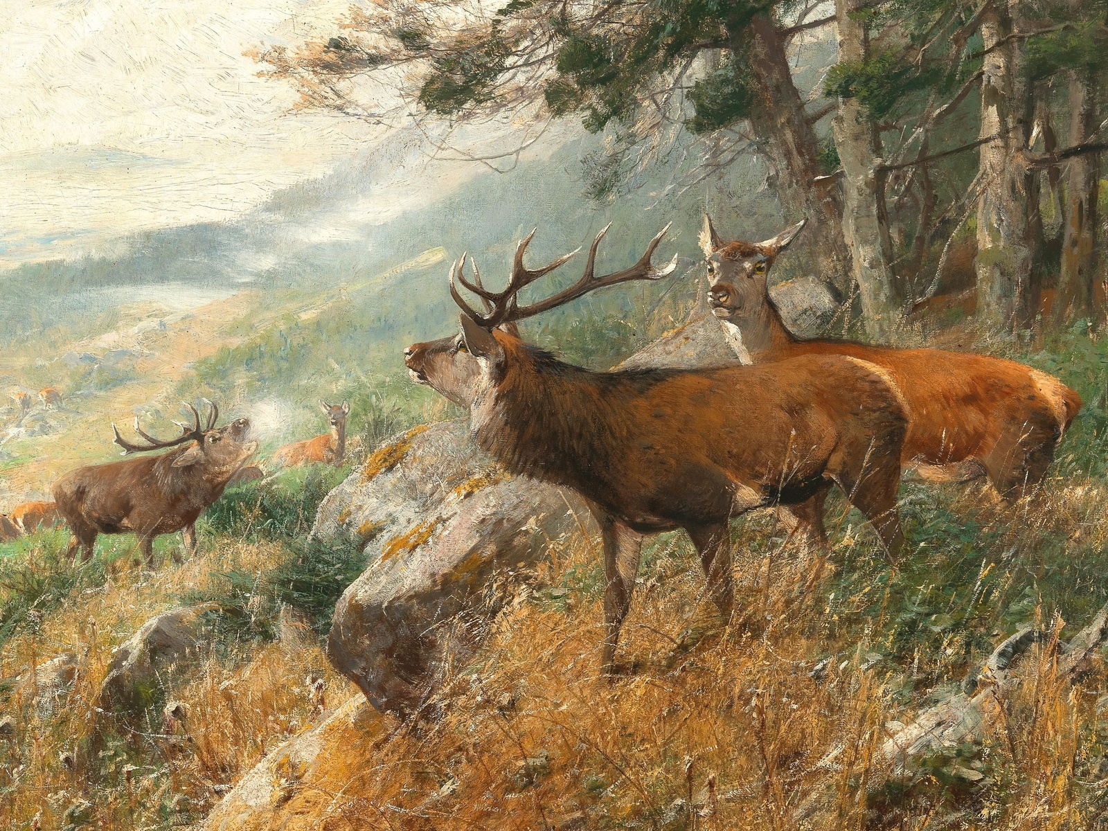 christian kroner, german, 1893, deer in the clearing