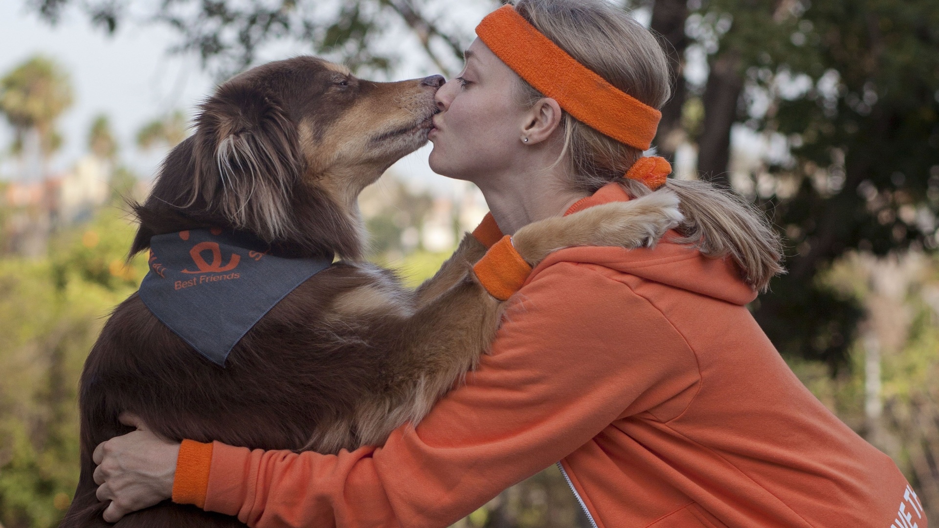 amanda seyfried, shelter pets campaign, rescue dog finn