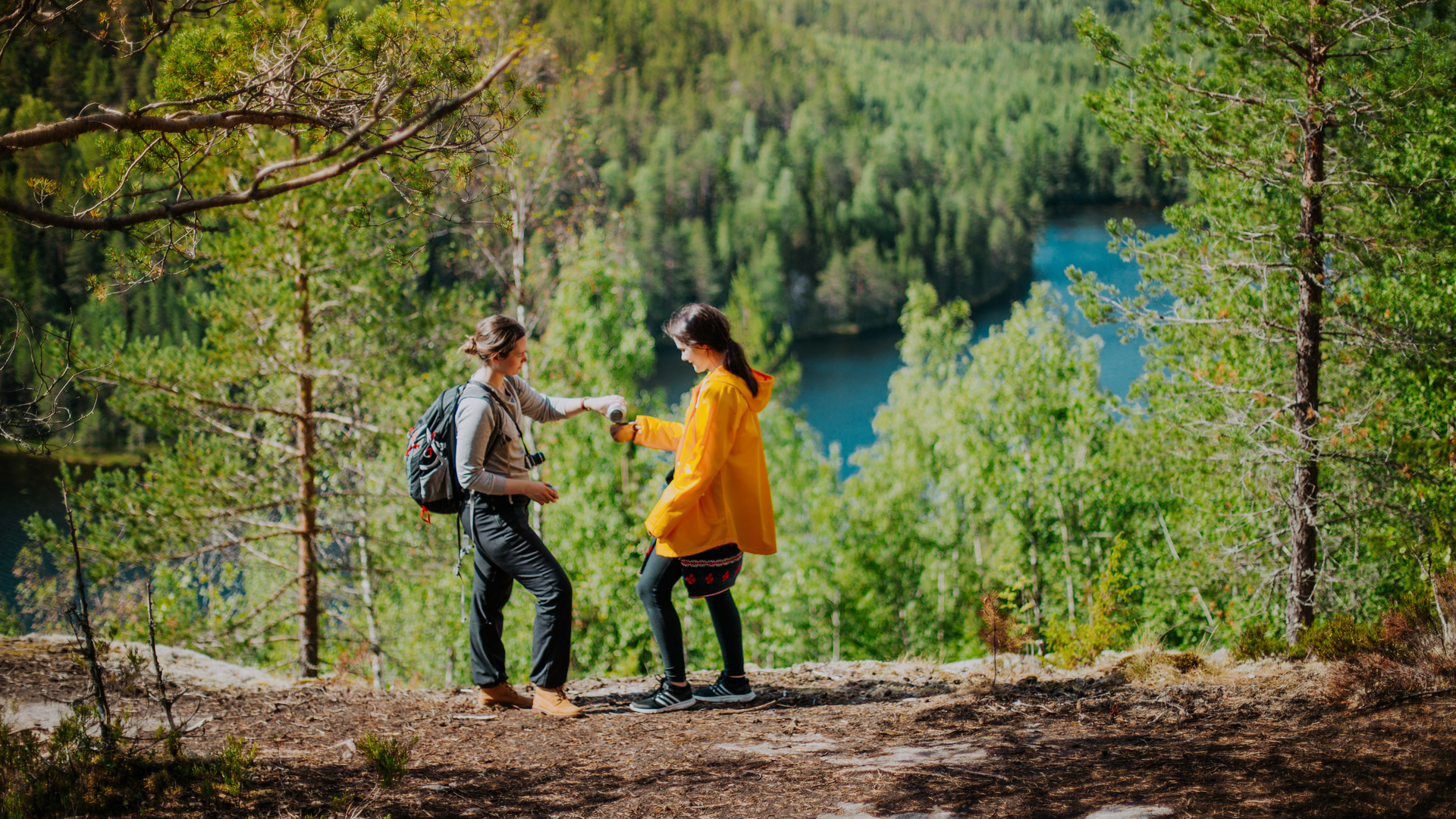 southern konnevesi national park, finland, lakeland