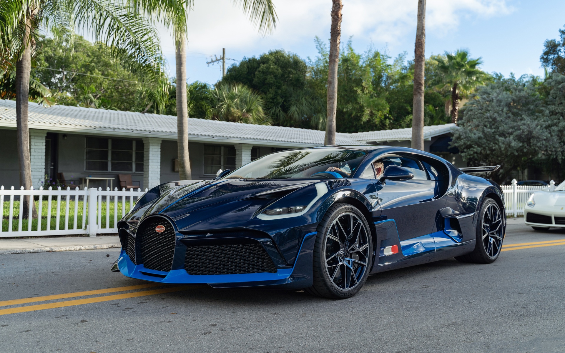 bugatti, divo