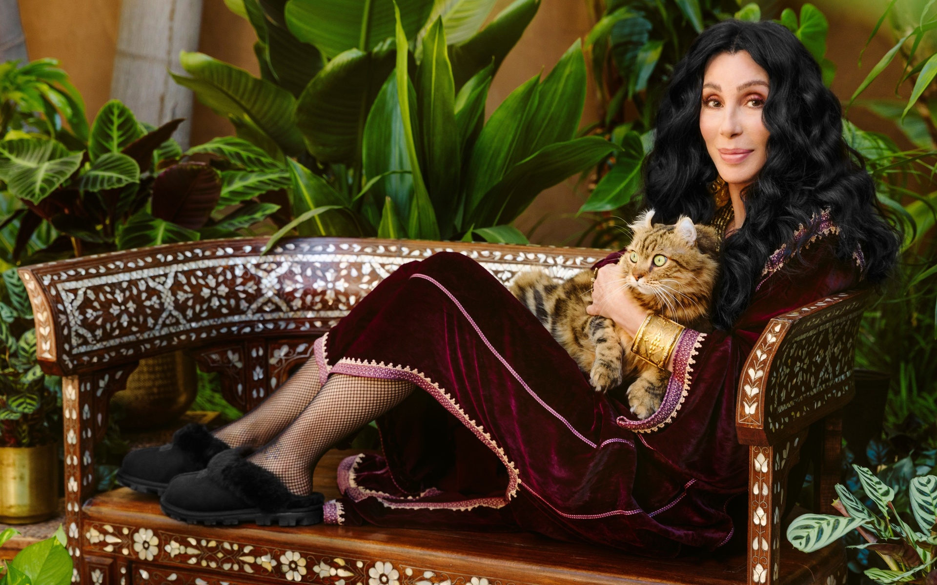 cher, singer, ugg campaign