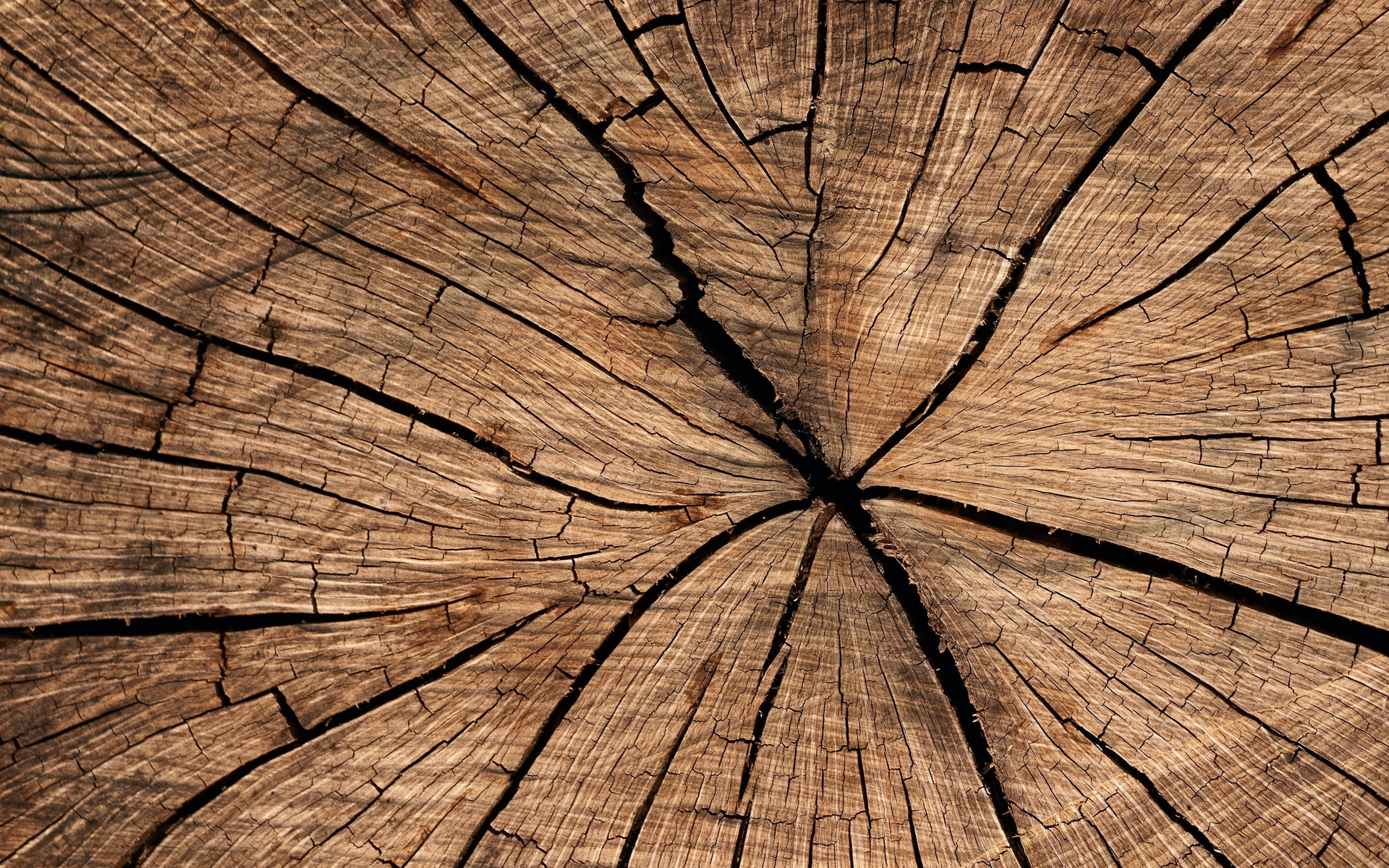 texture, wood, background