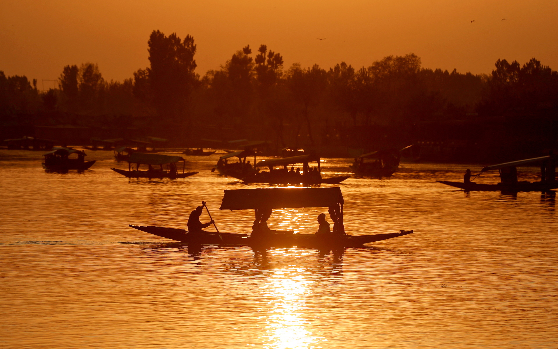 boats, dal lake, jammu and kashmir, india