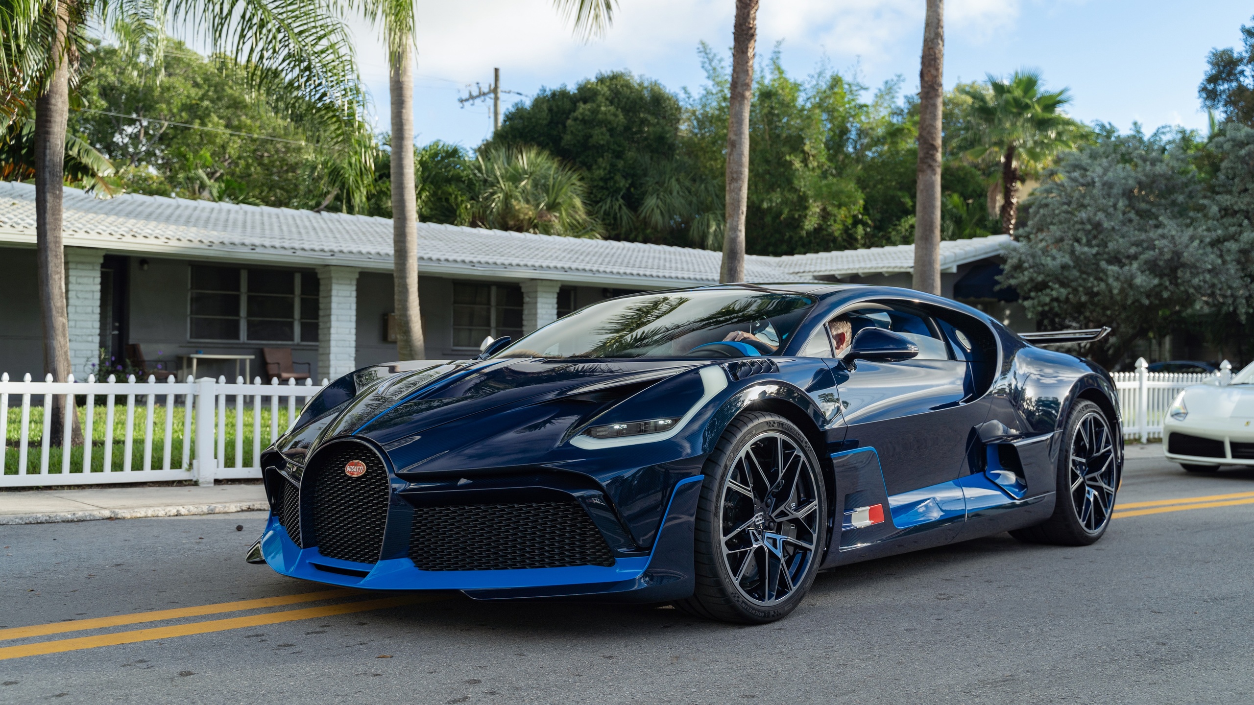 bugatti, divo