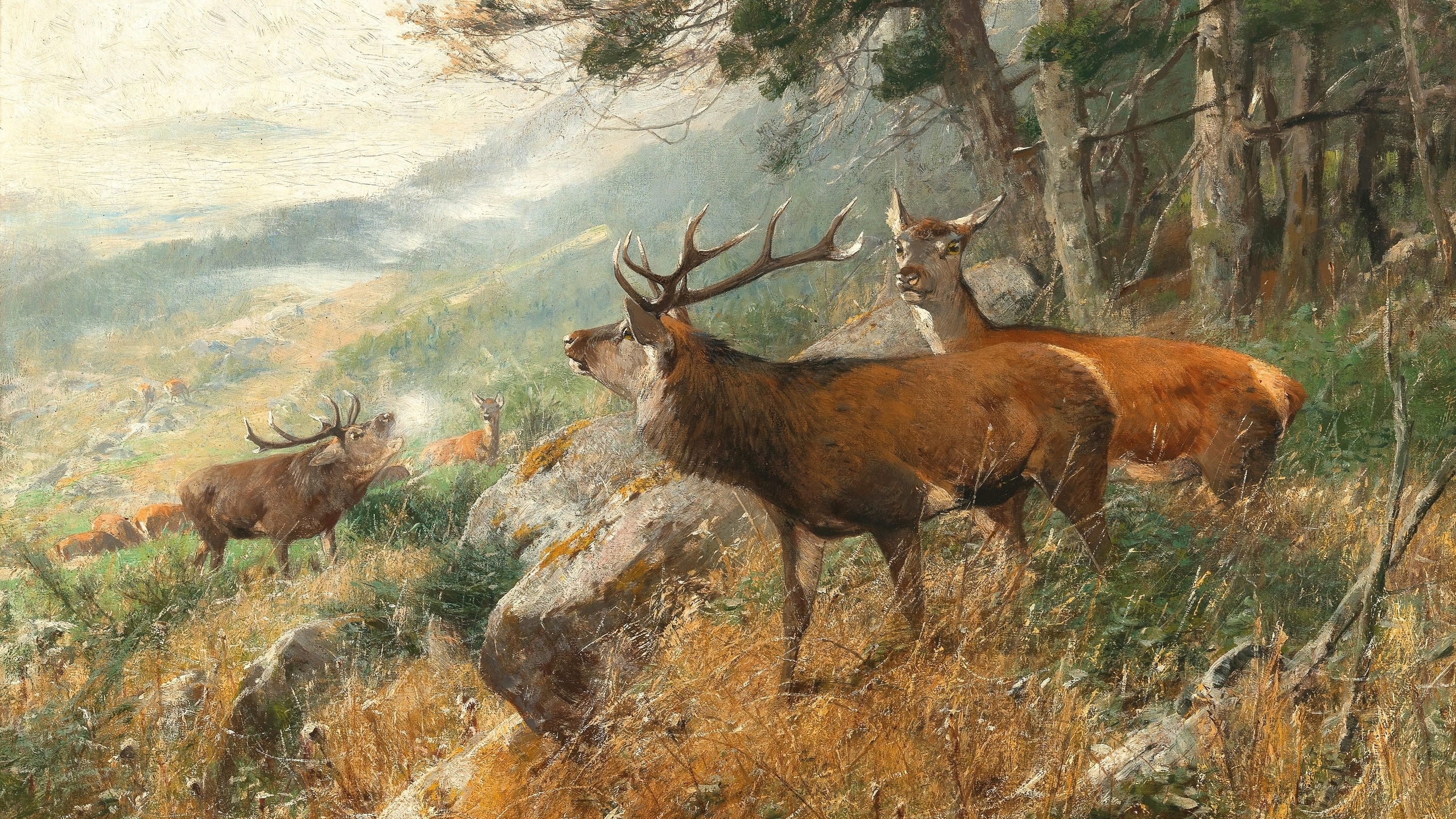 christian kroner, german, 1893, deer in the clearing