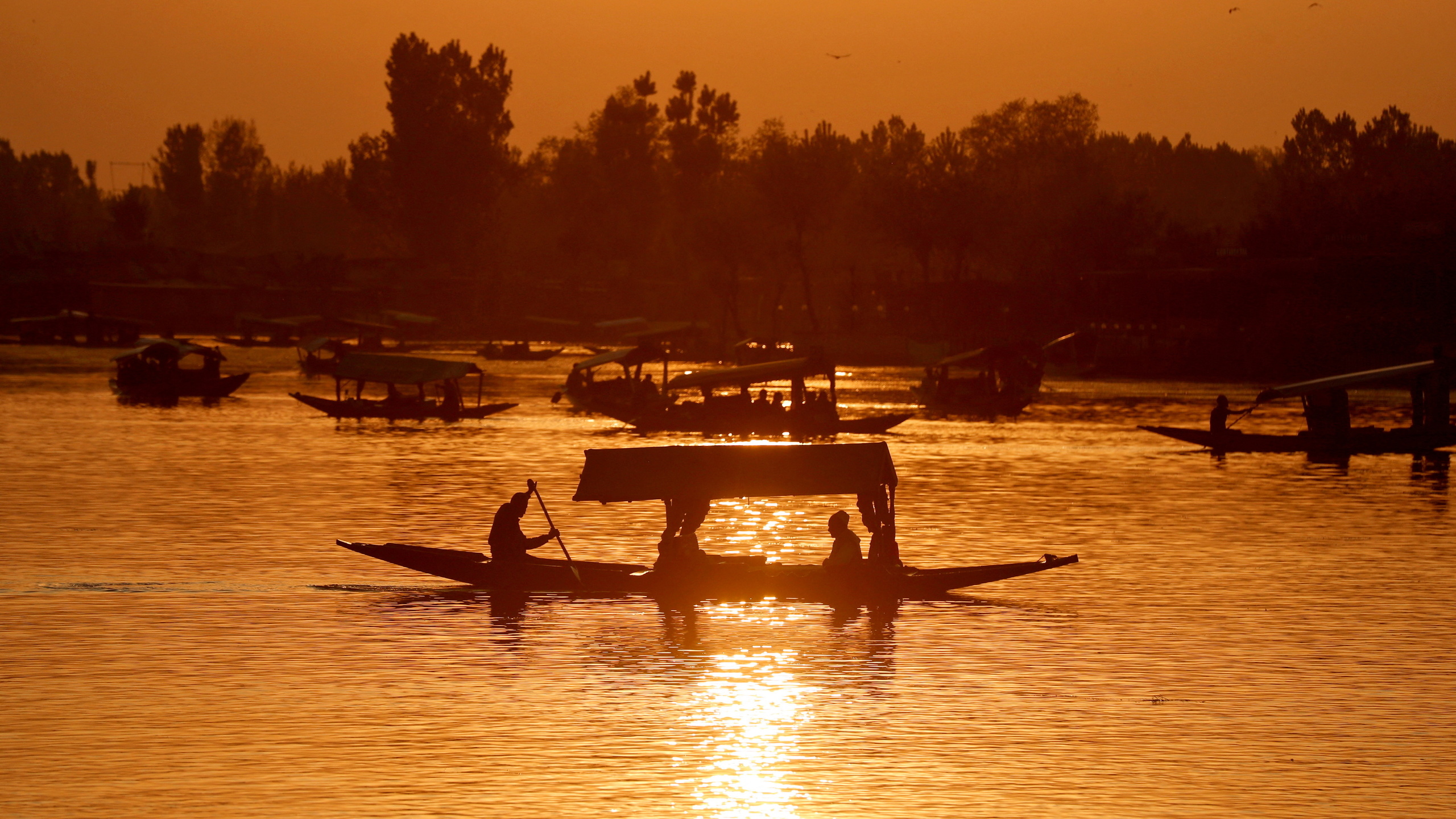 boats, dal lake, jammu and kashmir, india