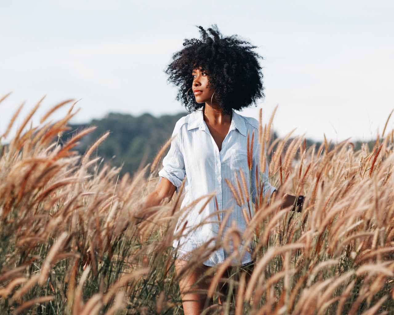 sunset, field, young woman