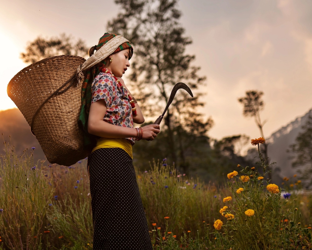 nepal, flower farmer, outskirts of kathmandu city, flower farming