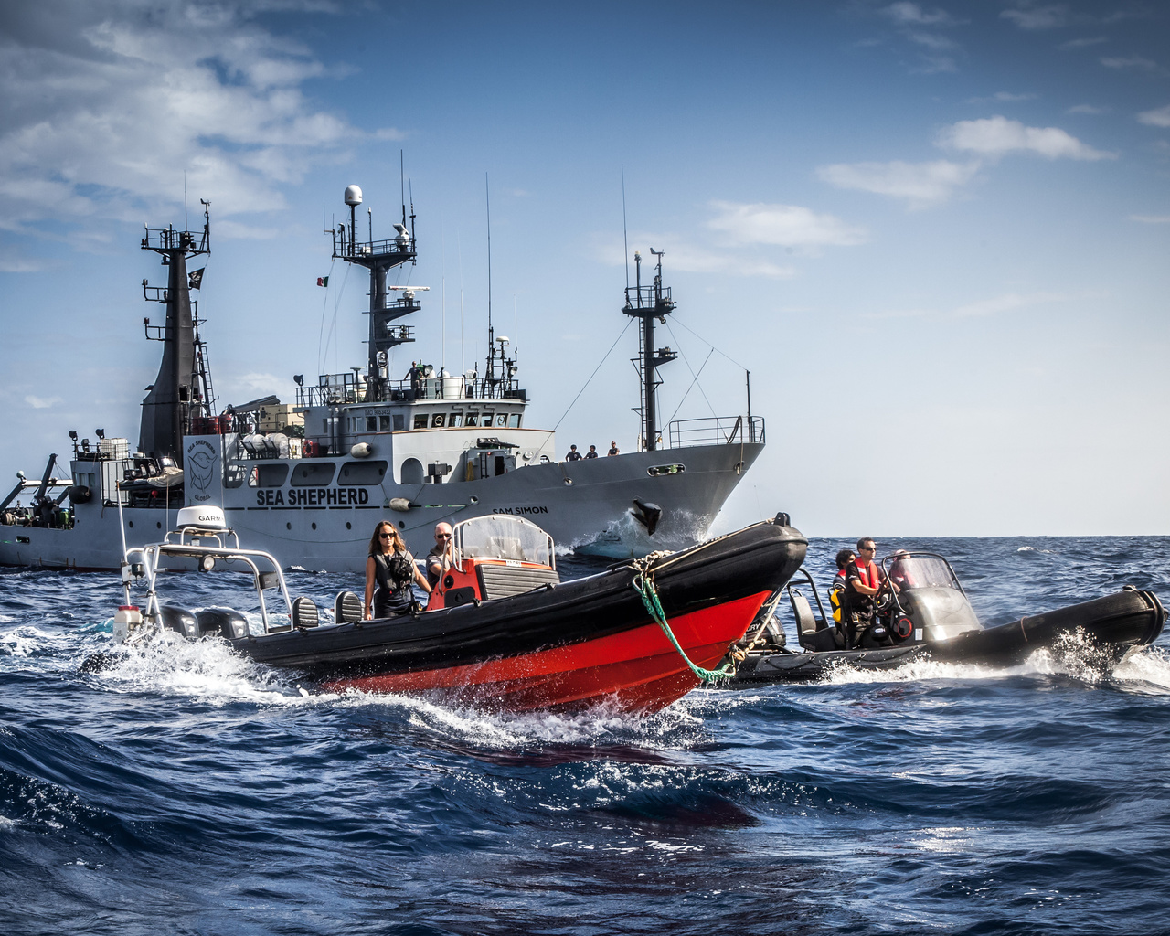 direct action marine conservation organization, sea shepherd, small boats, antarctica