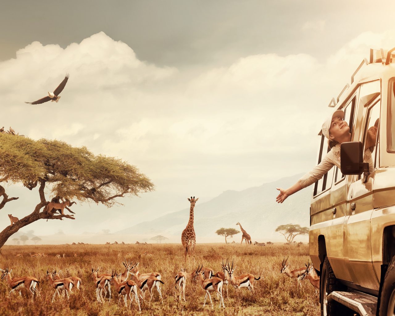 safari, animal, tourism, africa, traveling