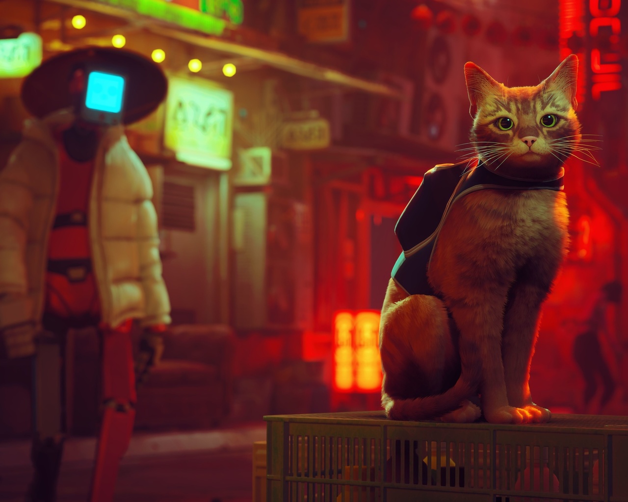 stray, video game, bluetwelve studio