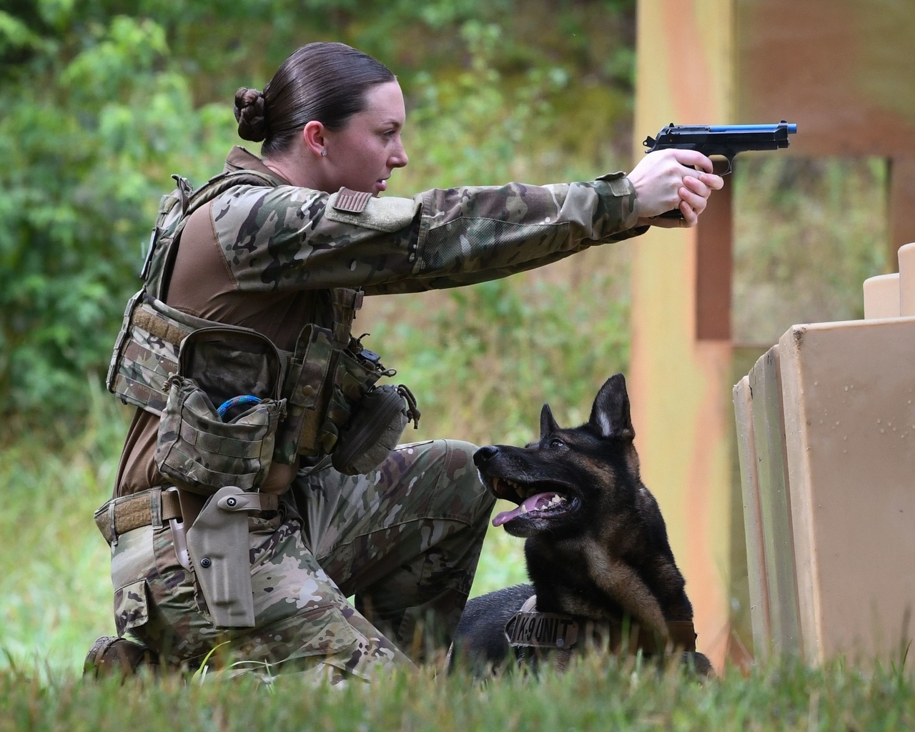 security support squadron, joint base andrews, military working dog competition