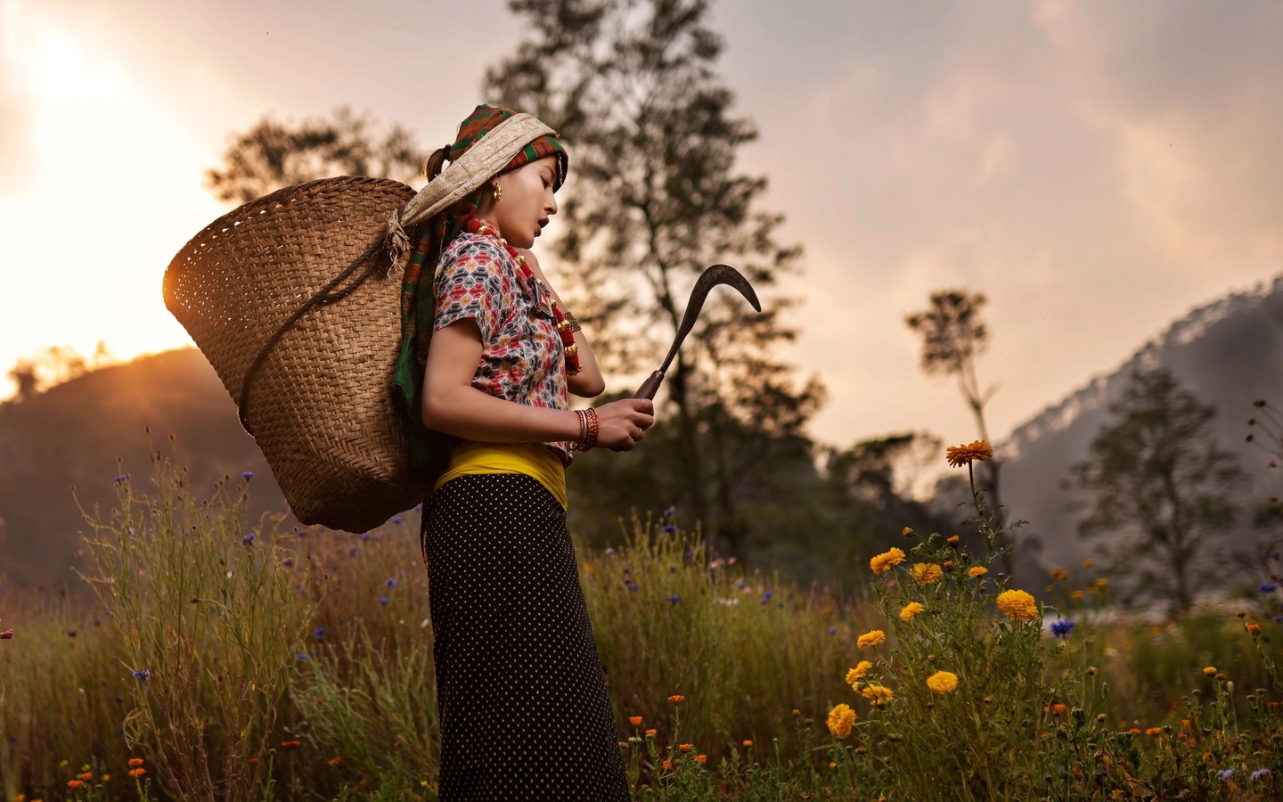 nepal, flower farmer, outskirts of kathmandu city, flower farming