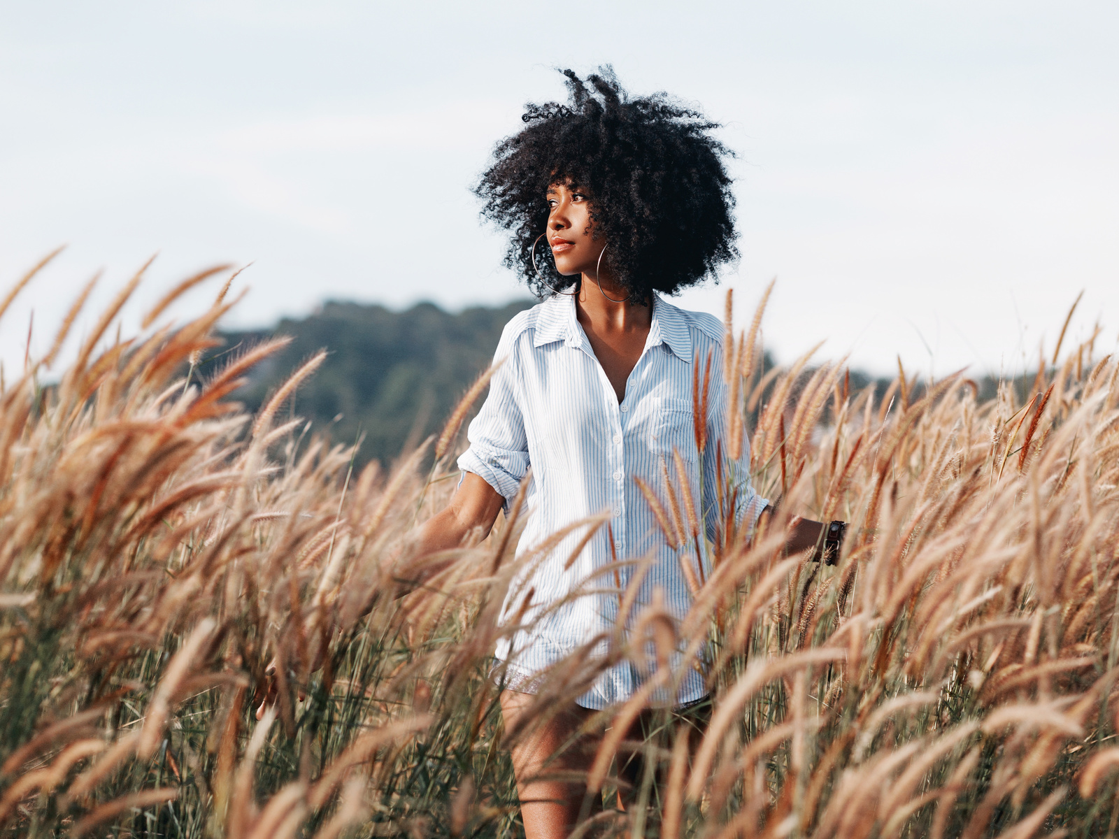 sunset, field, young woman