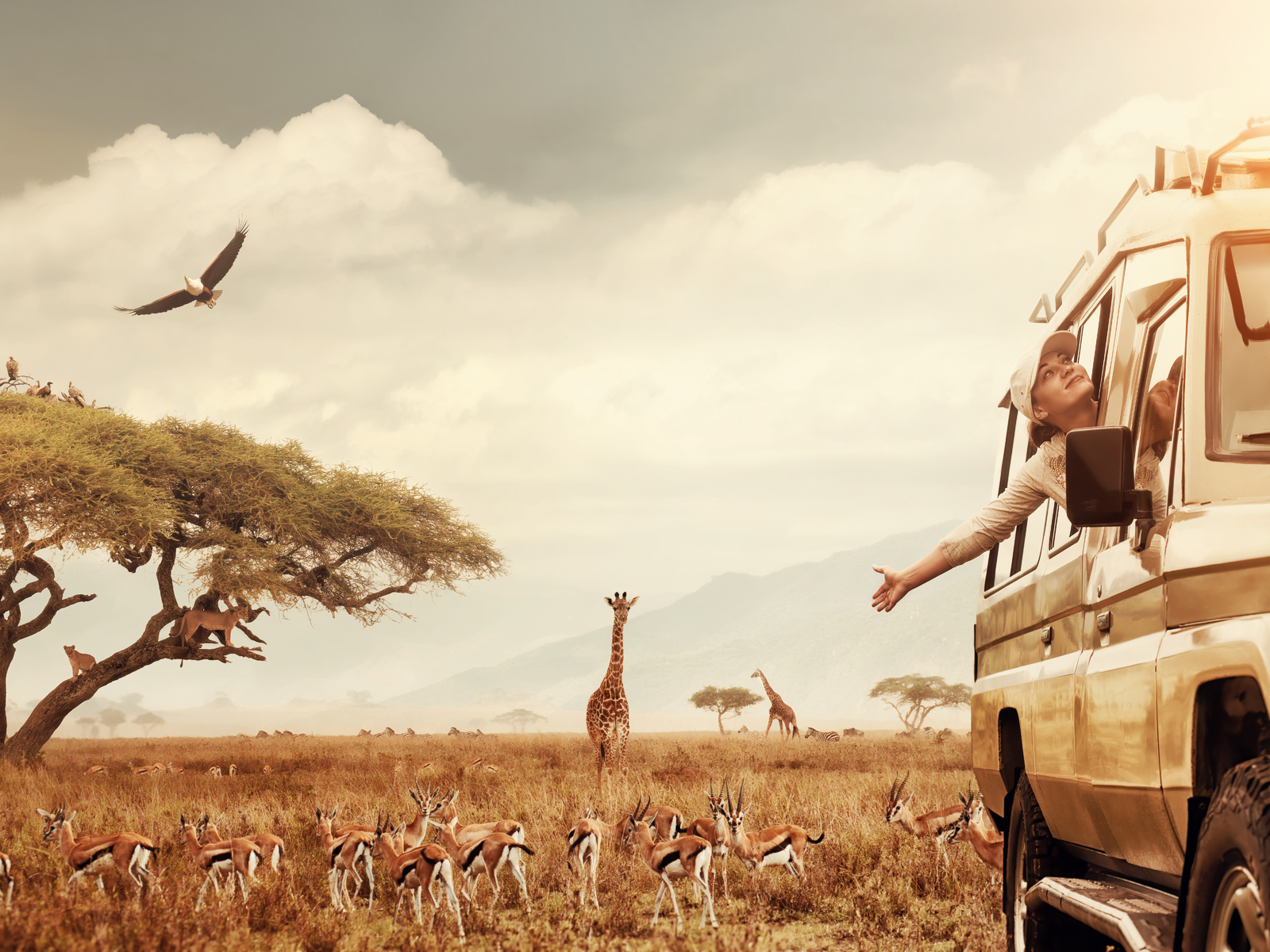 safari, animal, tourism, africa, traveling