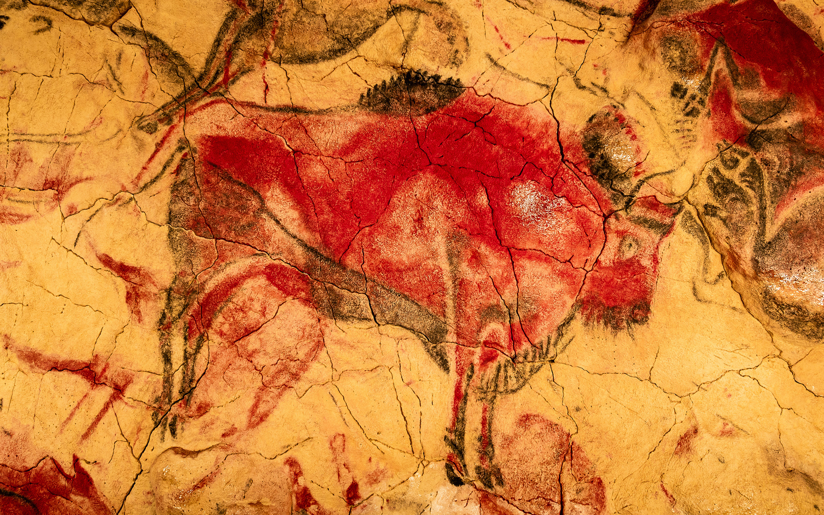 paleolithic rock painting, red bison, altamira cave, spain