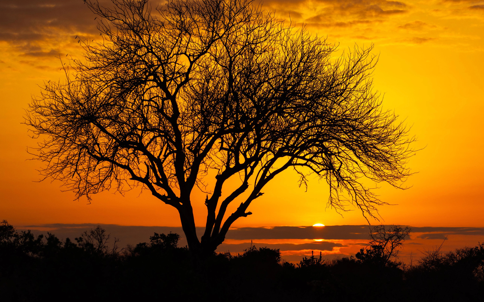 morning, kenya, red sky