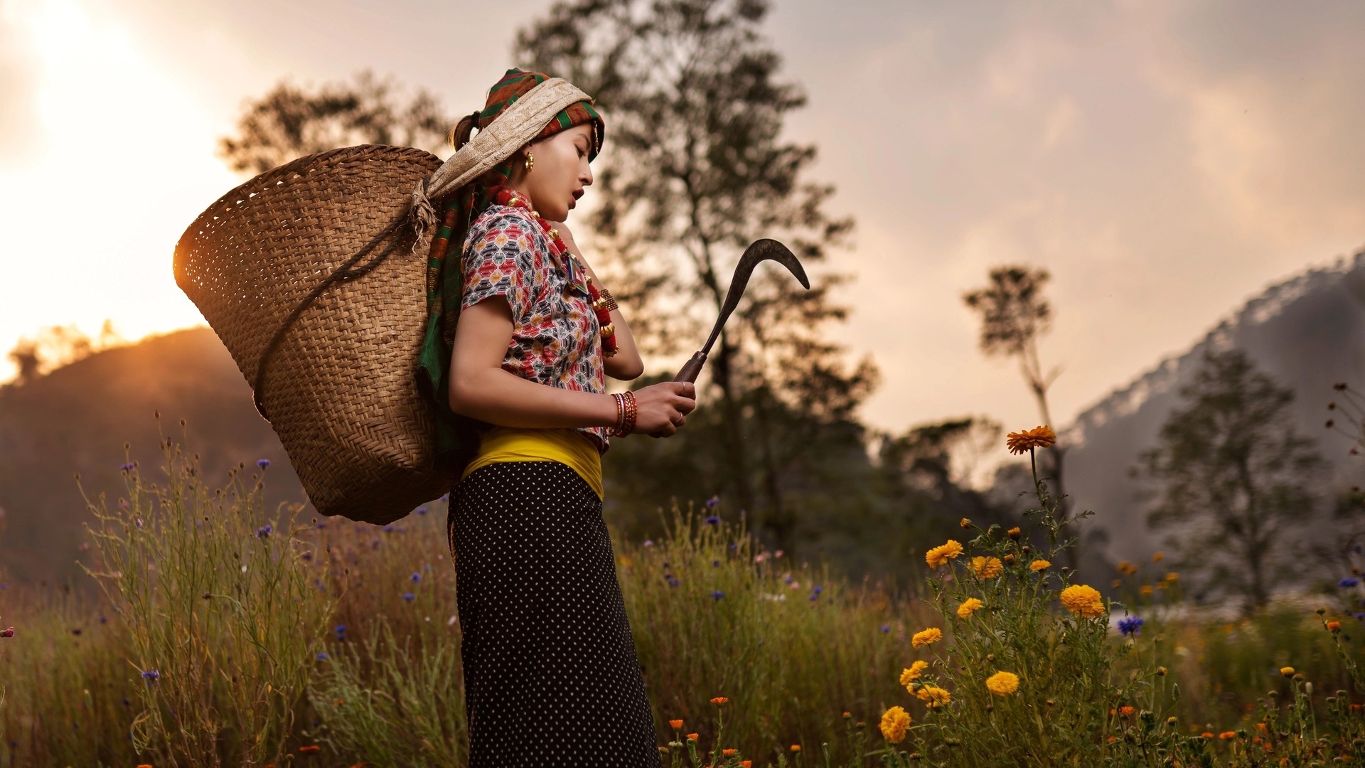 nepal, flower farmer, outskirts of kathmandu city, flower farming