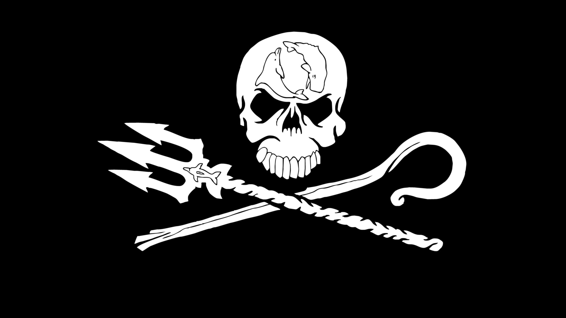 direct action marine conservation organization, sea shepherd, logo