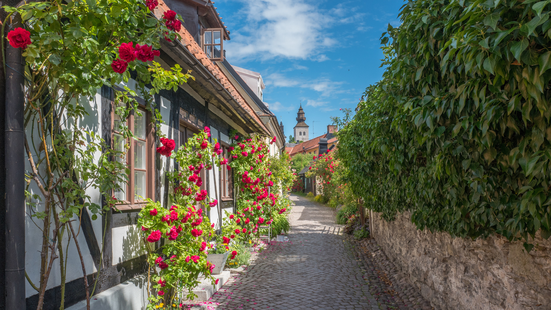 visby, sweden, medieval alley