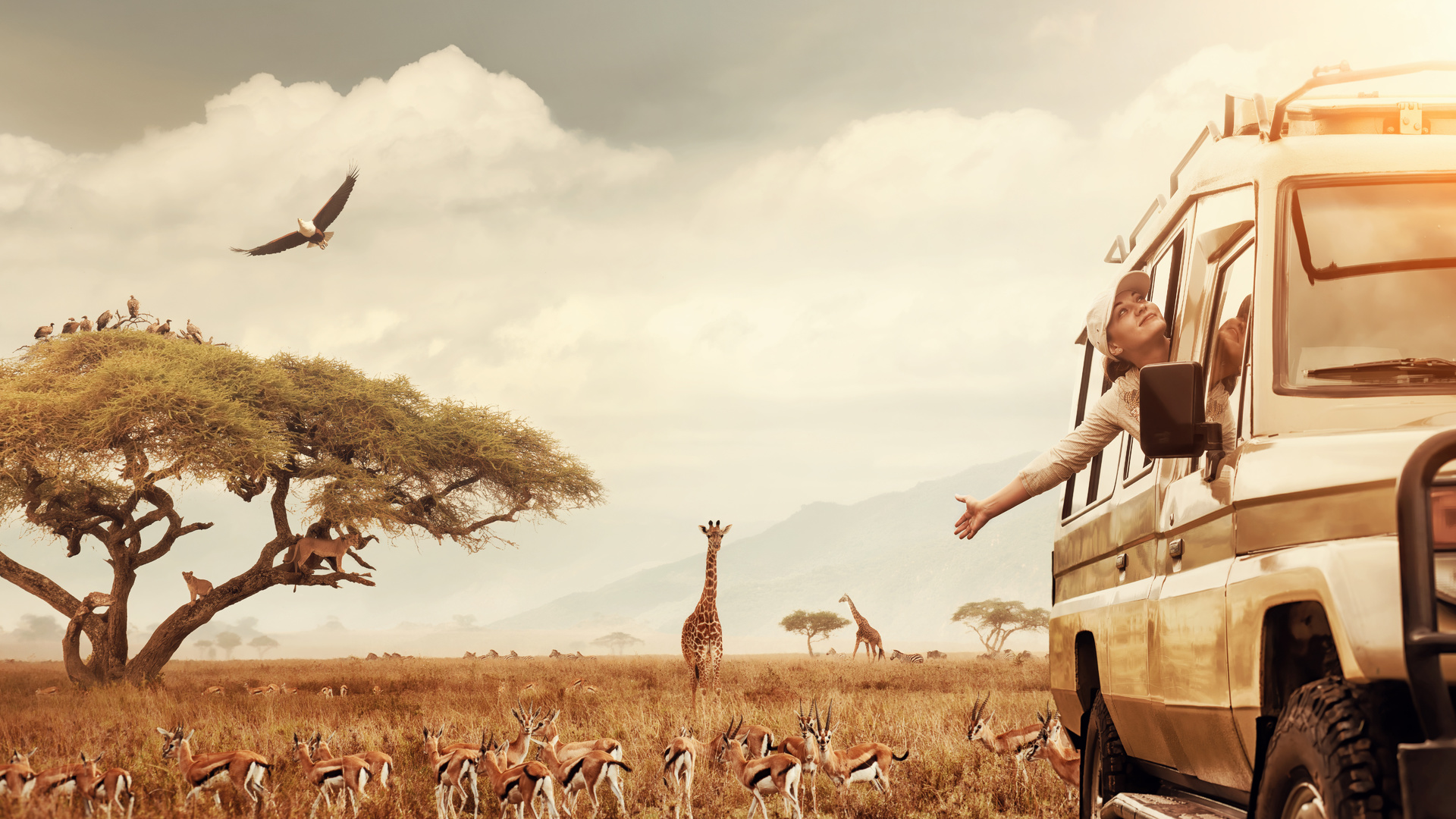 safari, animal, tourism, africa, traveling