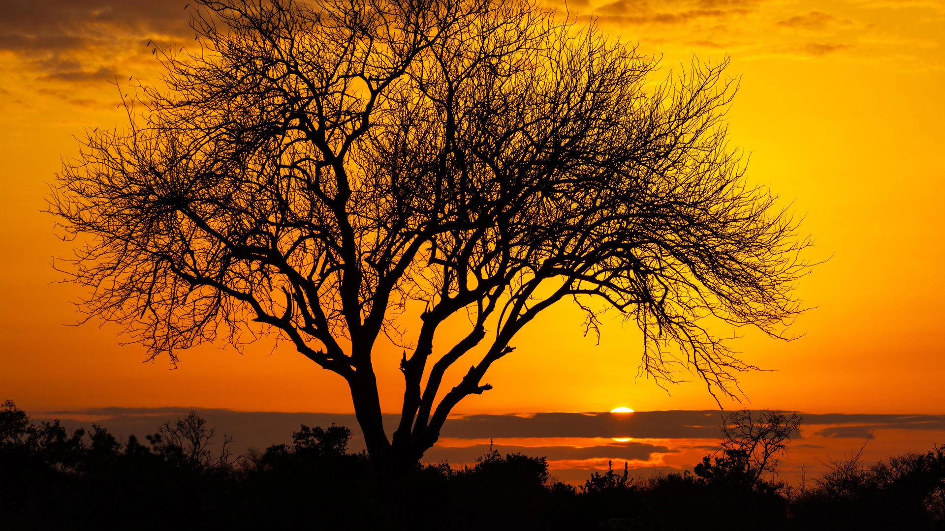 morning, kenya, red sky