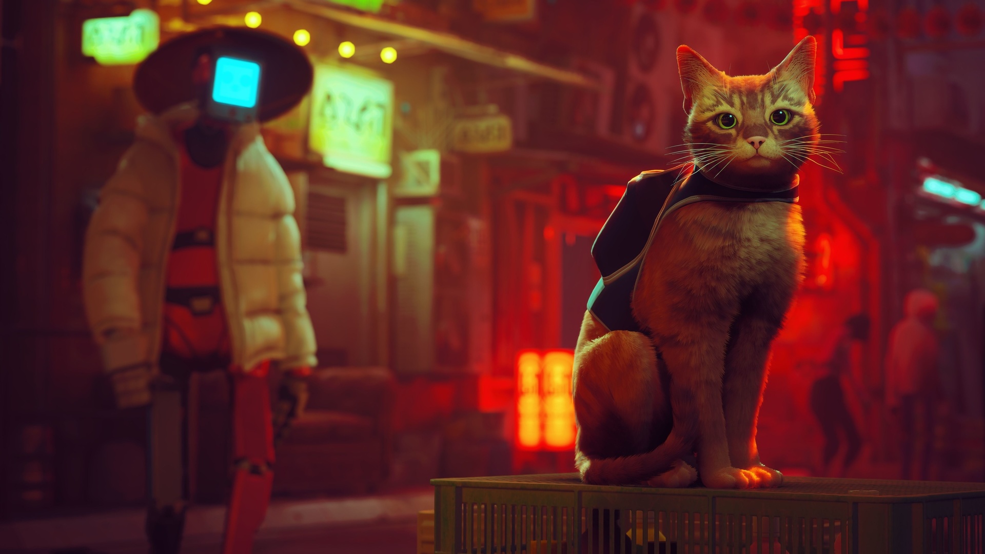 Картинки stray, video game, bluetwelve studio - обои 1920x1080, картинка  №496030