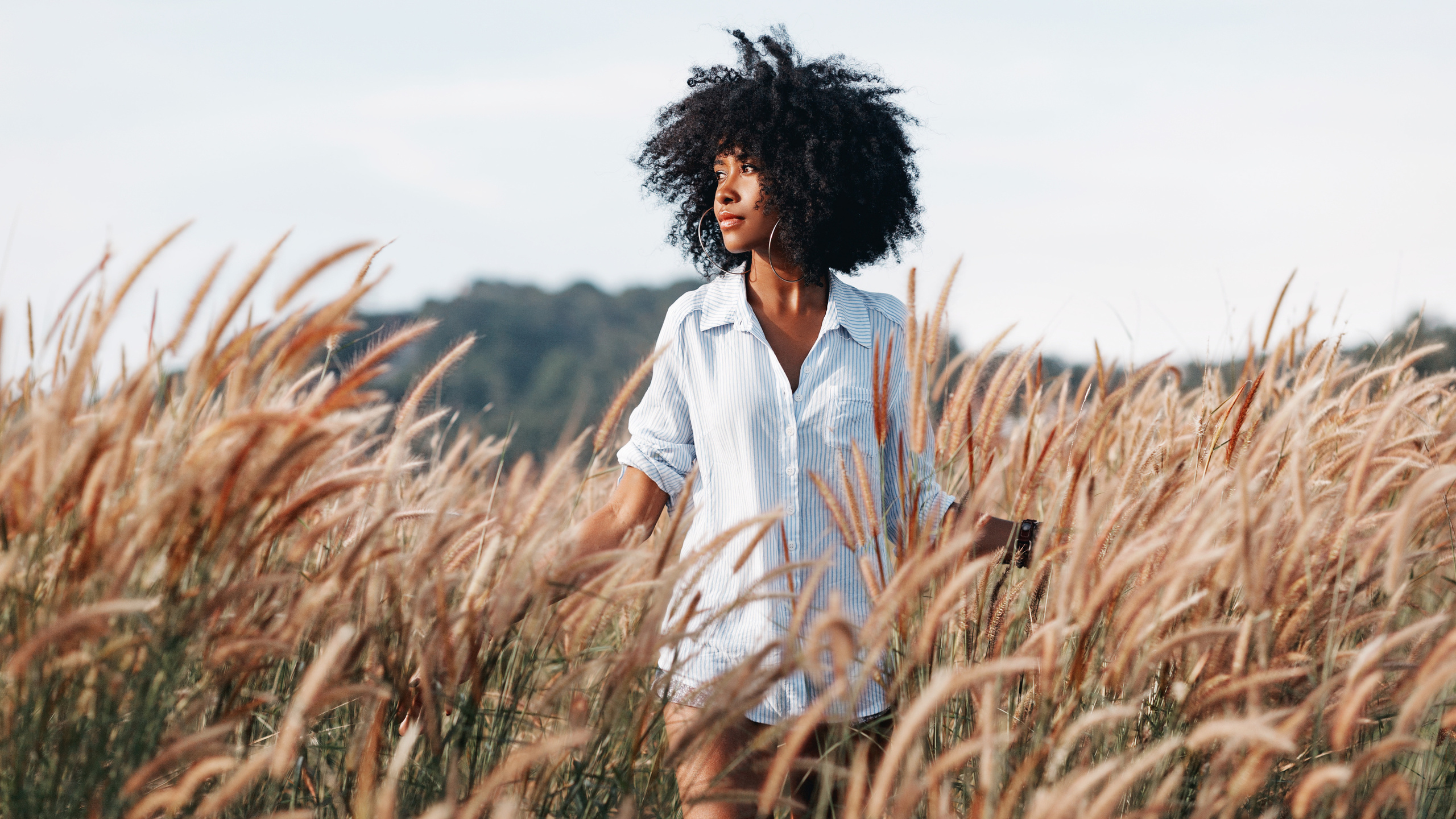 sunset, field, young woman