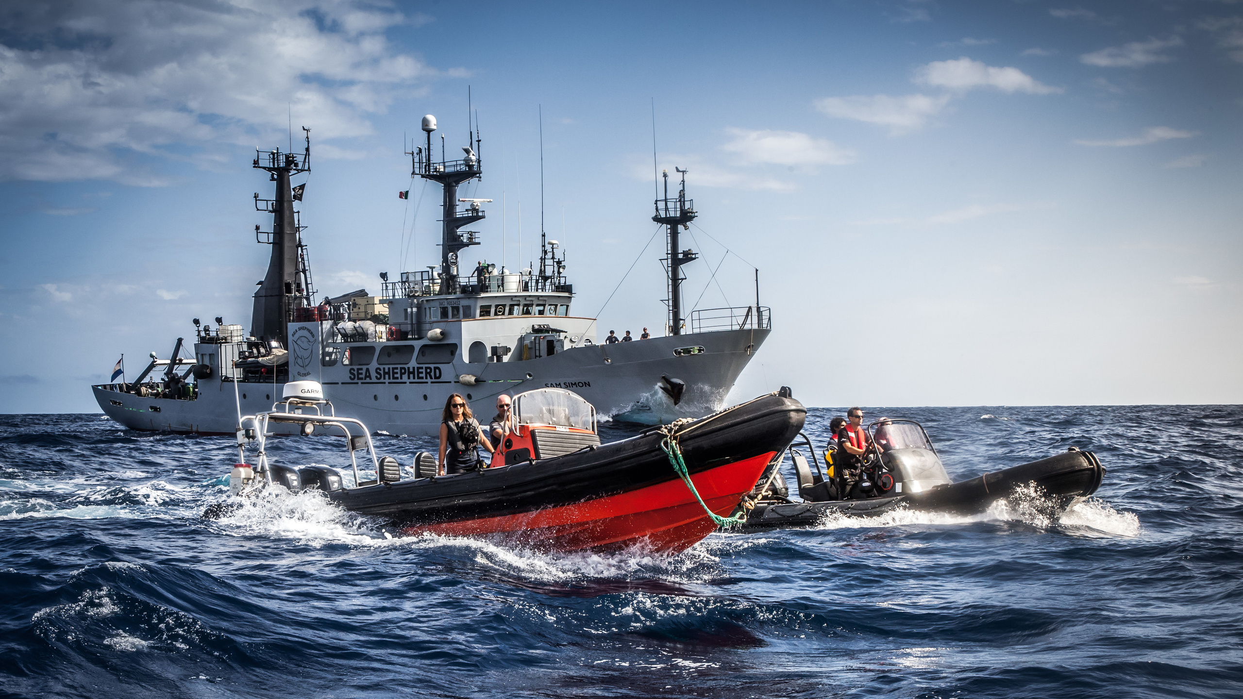 direct action marine conservation organization, sea shepherd, small boats, antarctica