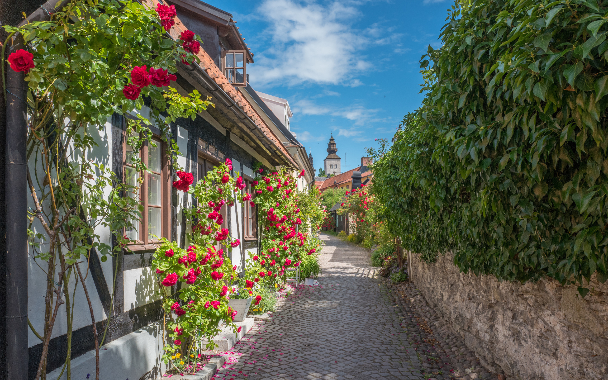 visby, sweden, medieval alley