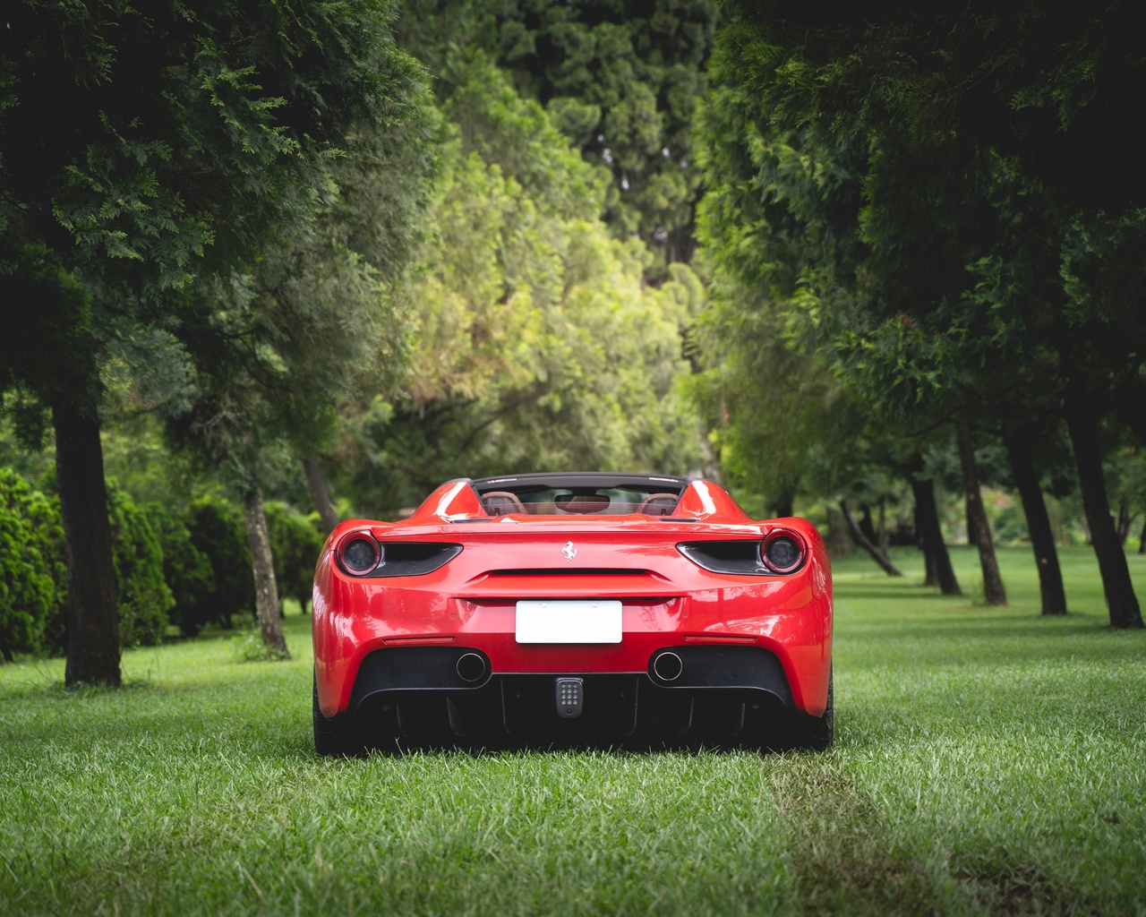 ferrari, 488, spider