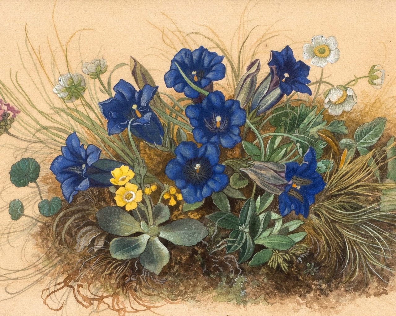 emil ernst heinsdorff, german, 1942, mountain flowers with gentian, winterling and primroses