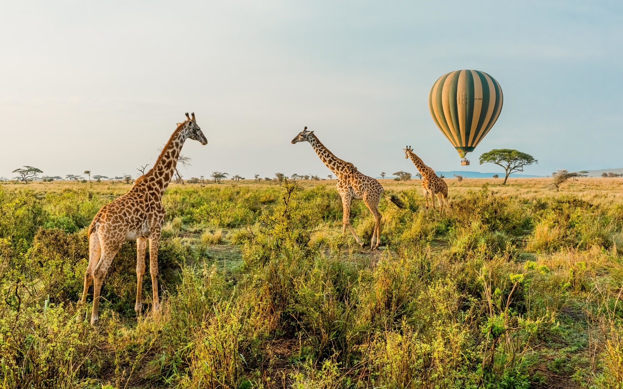 balloon safari, serengeti national park, tanzania, hot air balloon