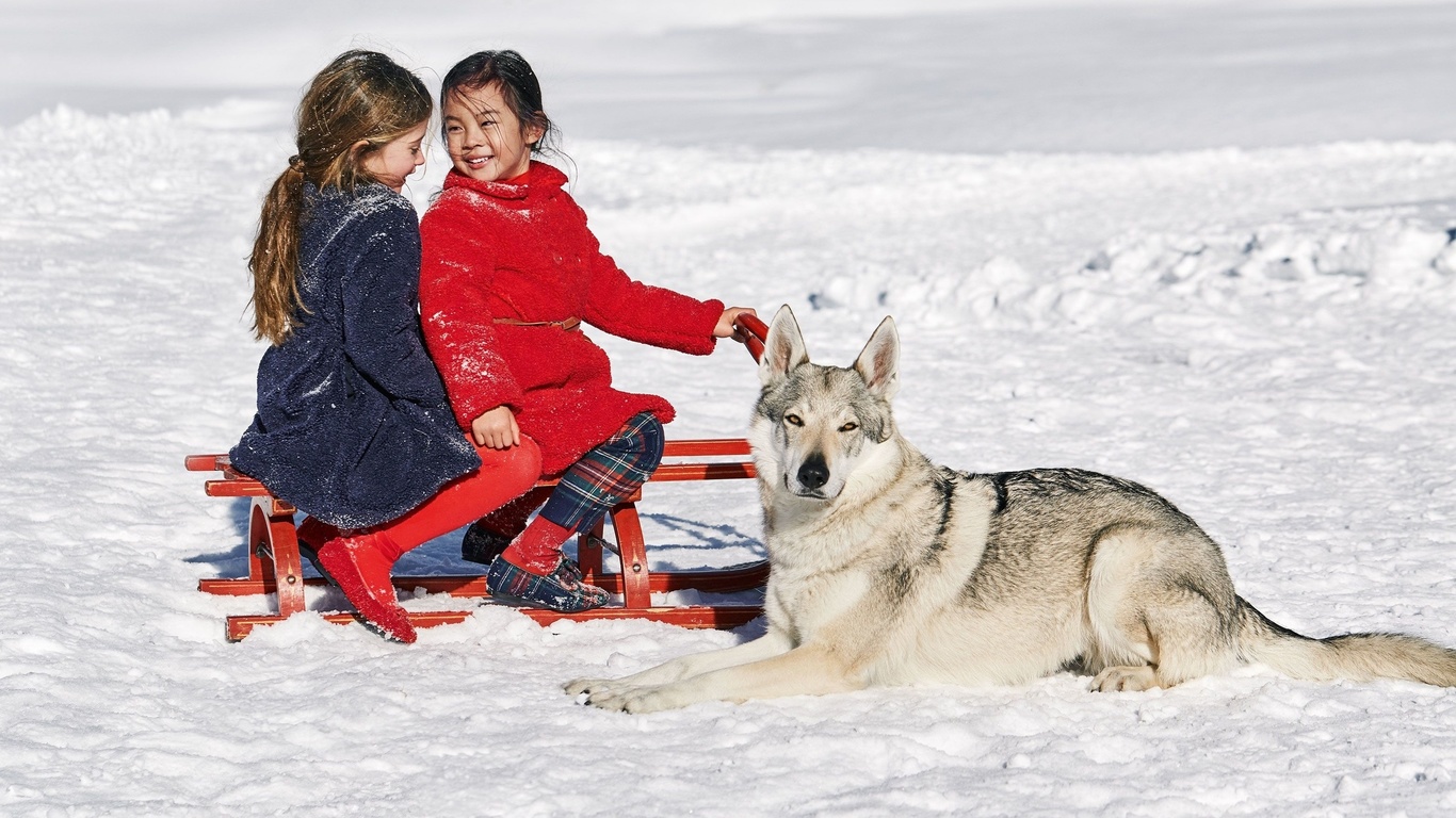 il gufo, arctic wonderland fw 2018 campaign, fashion kids