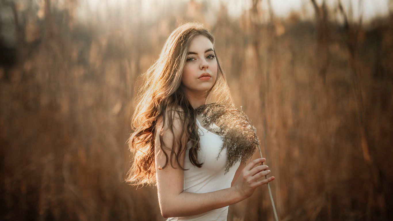 girl in corn field, girls, model, field