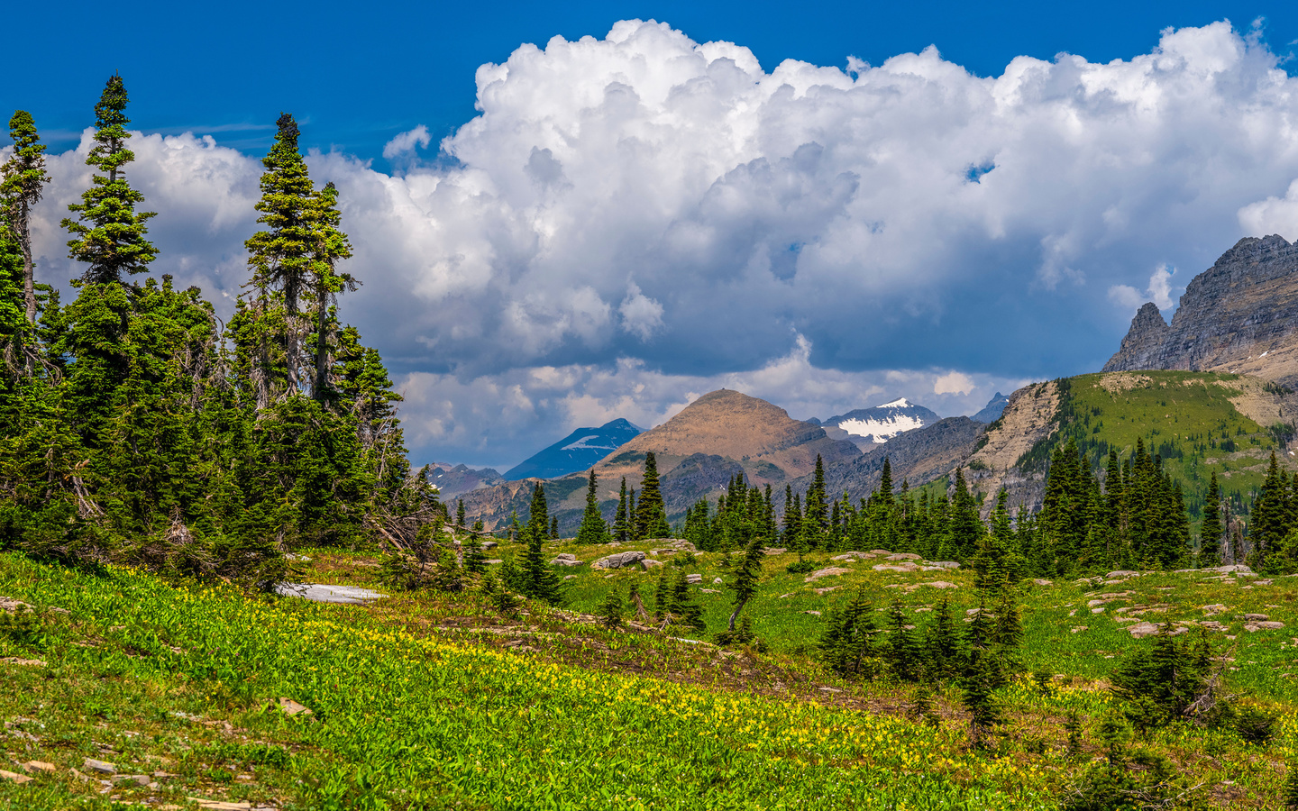 , , , , glacier, national park, , 