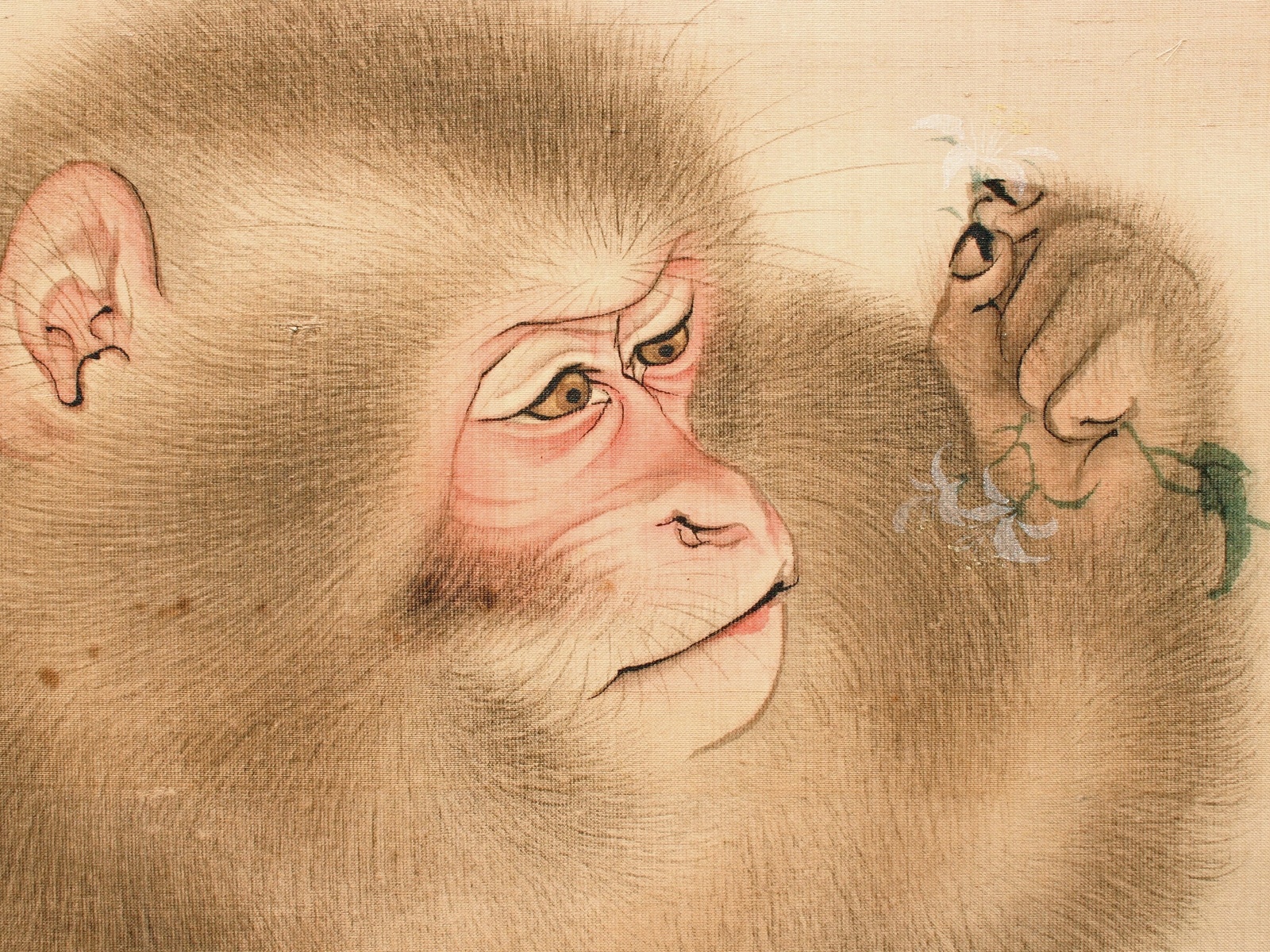 mori sosen, japanese, detail of two monkeys painted on silk hanging scroll