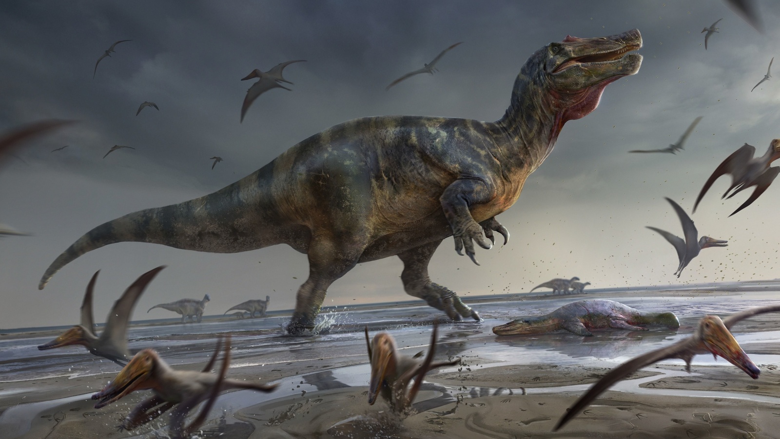 spinosauridae, theropod dinosaurs, white rock, hunter dinosaur