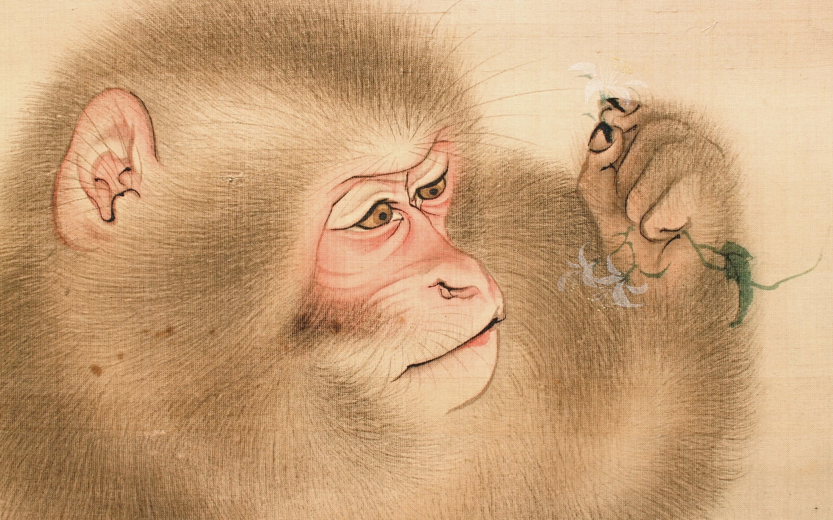 mori sosen, japanese, detail of two monkeys painted on silk hanging scroll