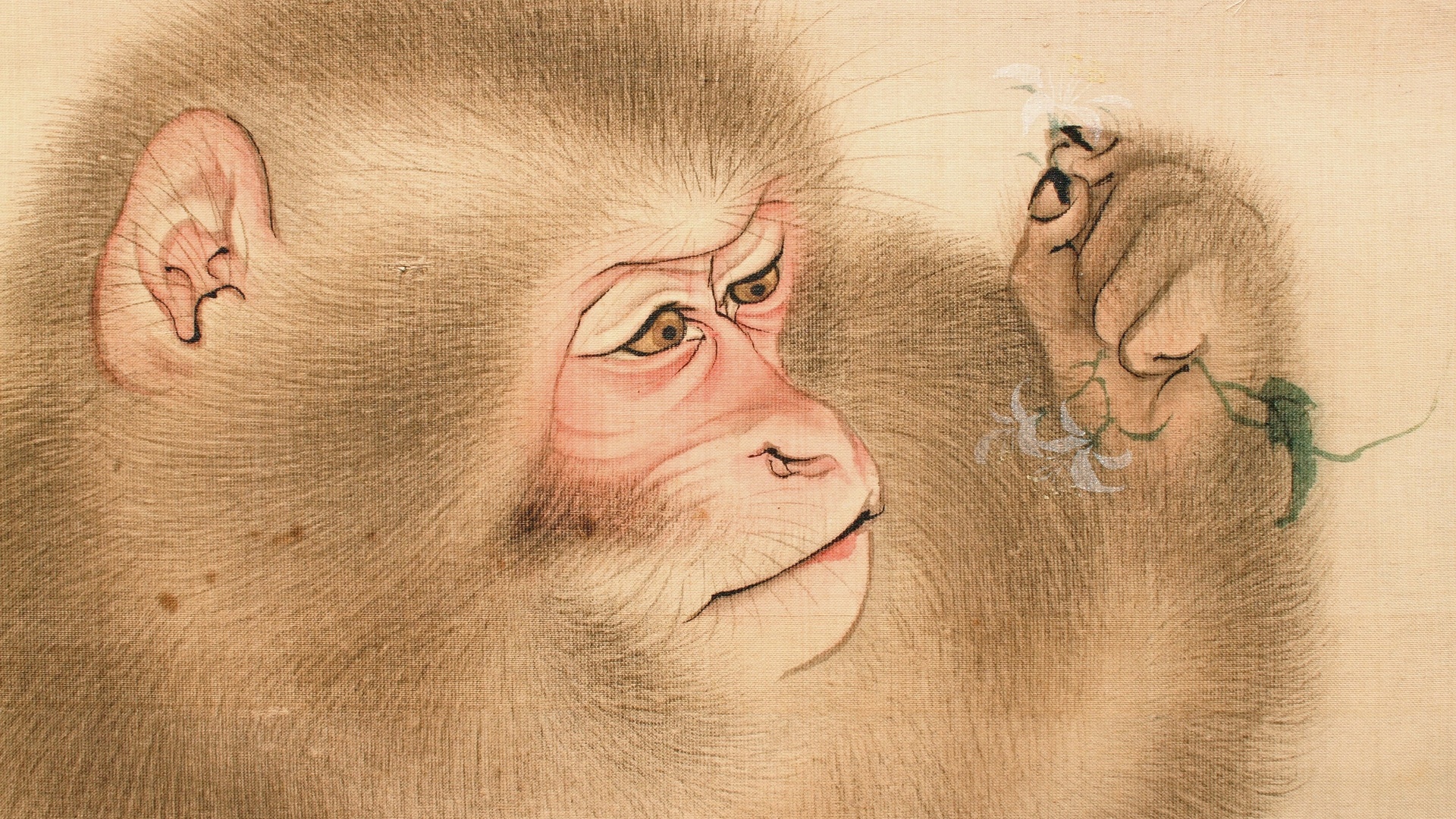 mori sosen, japanese, detail of two monkeys painted on silk hanging scroll