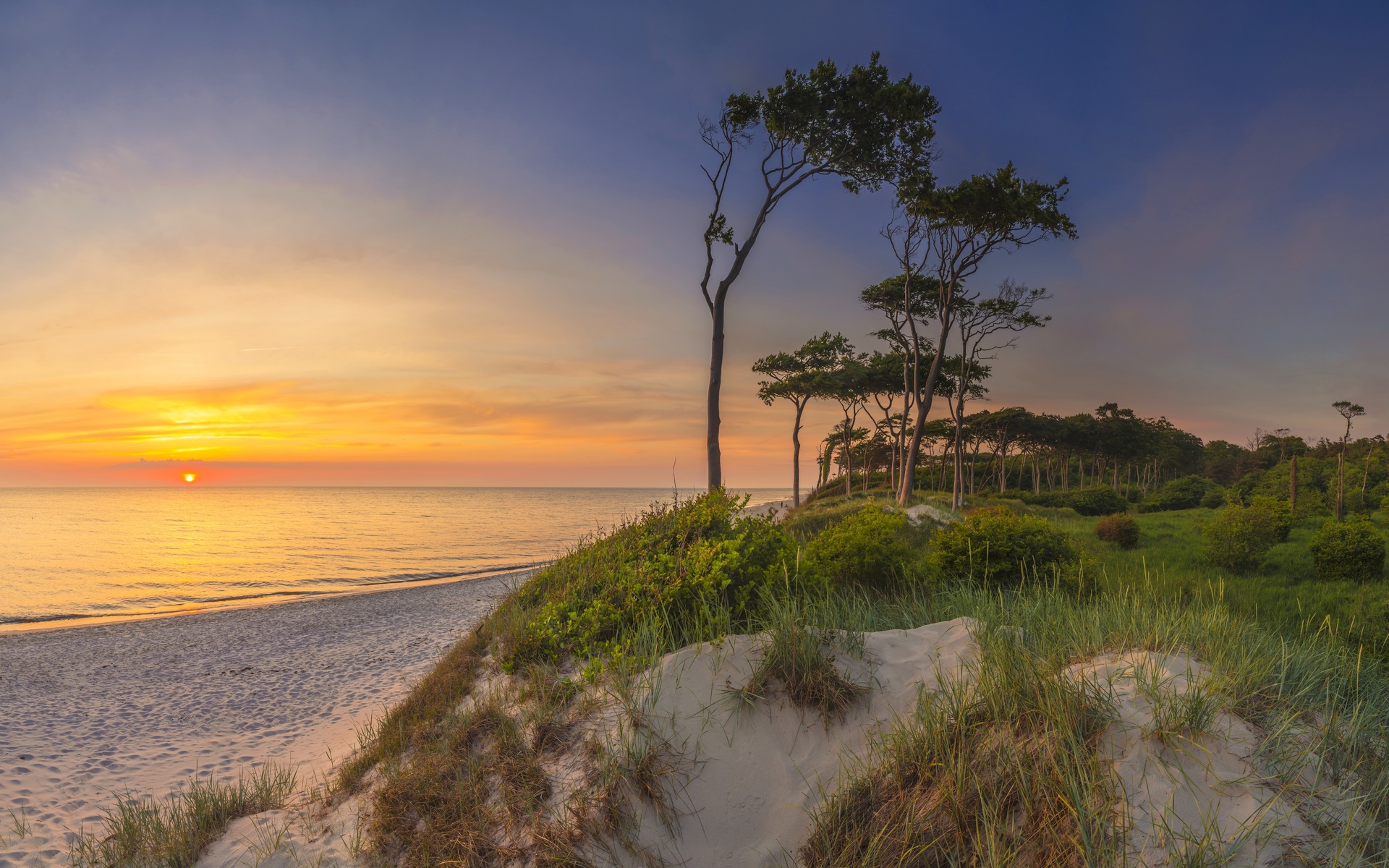 mecklenburg-vorpommern, germany, fischland-darb-zingst, western pomerania lagoon area national park