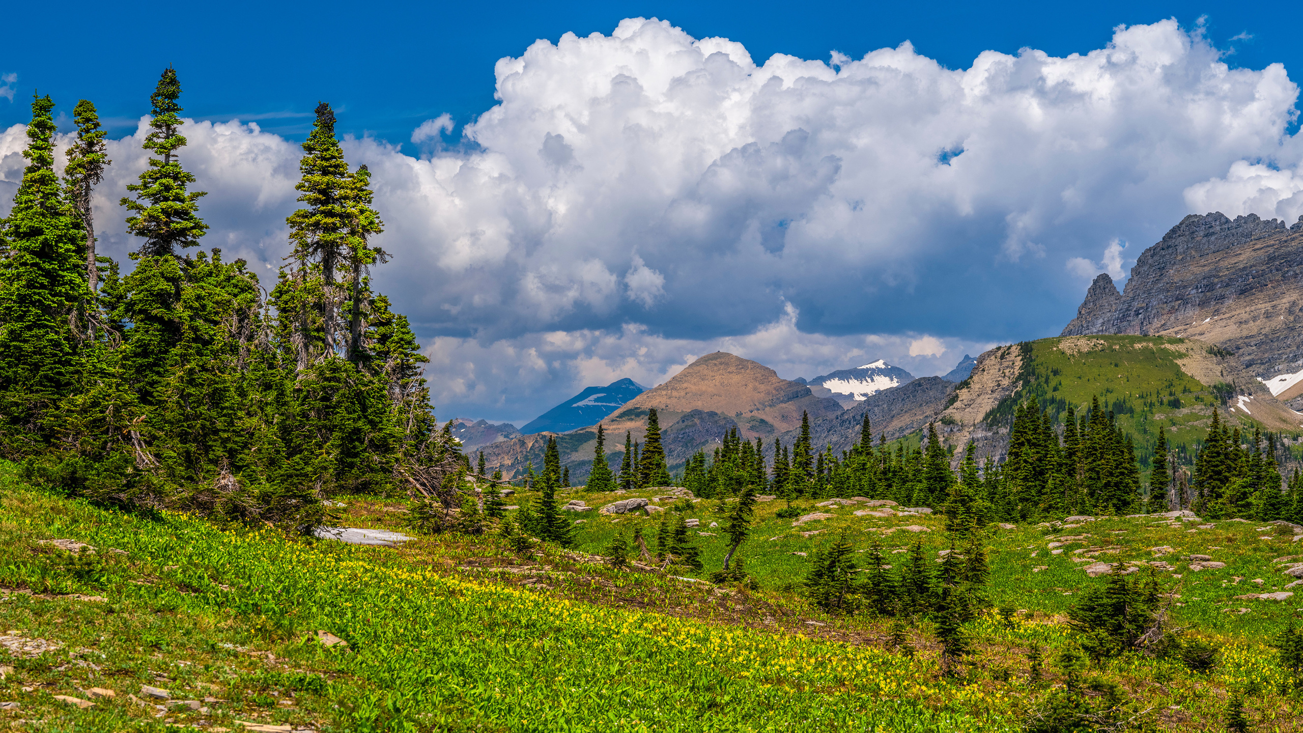 , , , , glacier, national park, , 