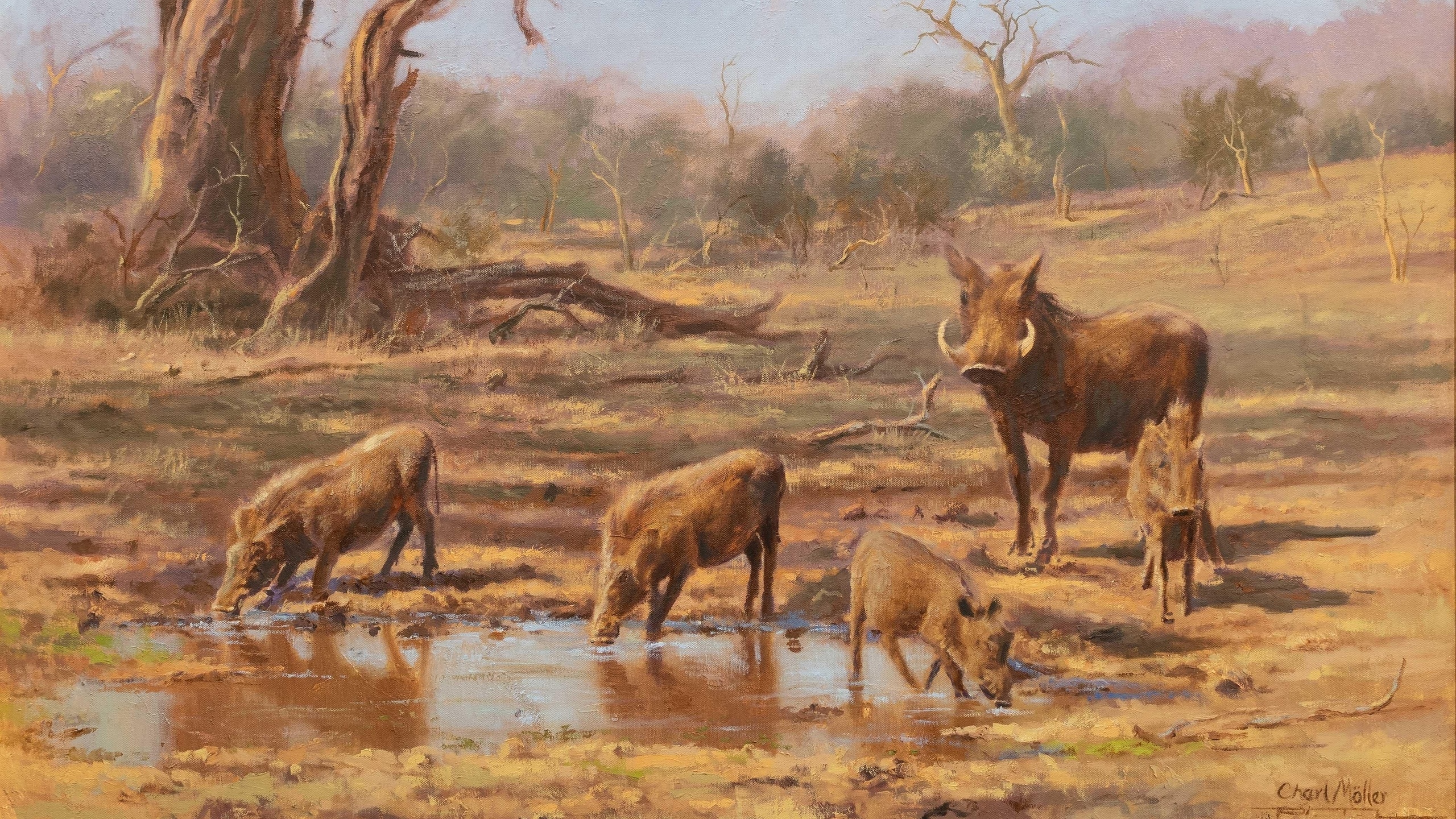 charl moller, south africa, warthog family