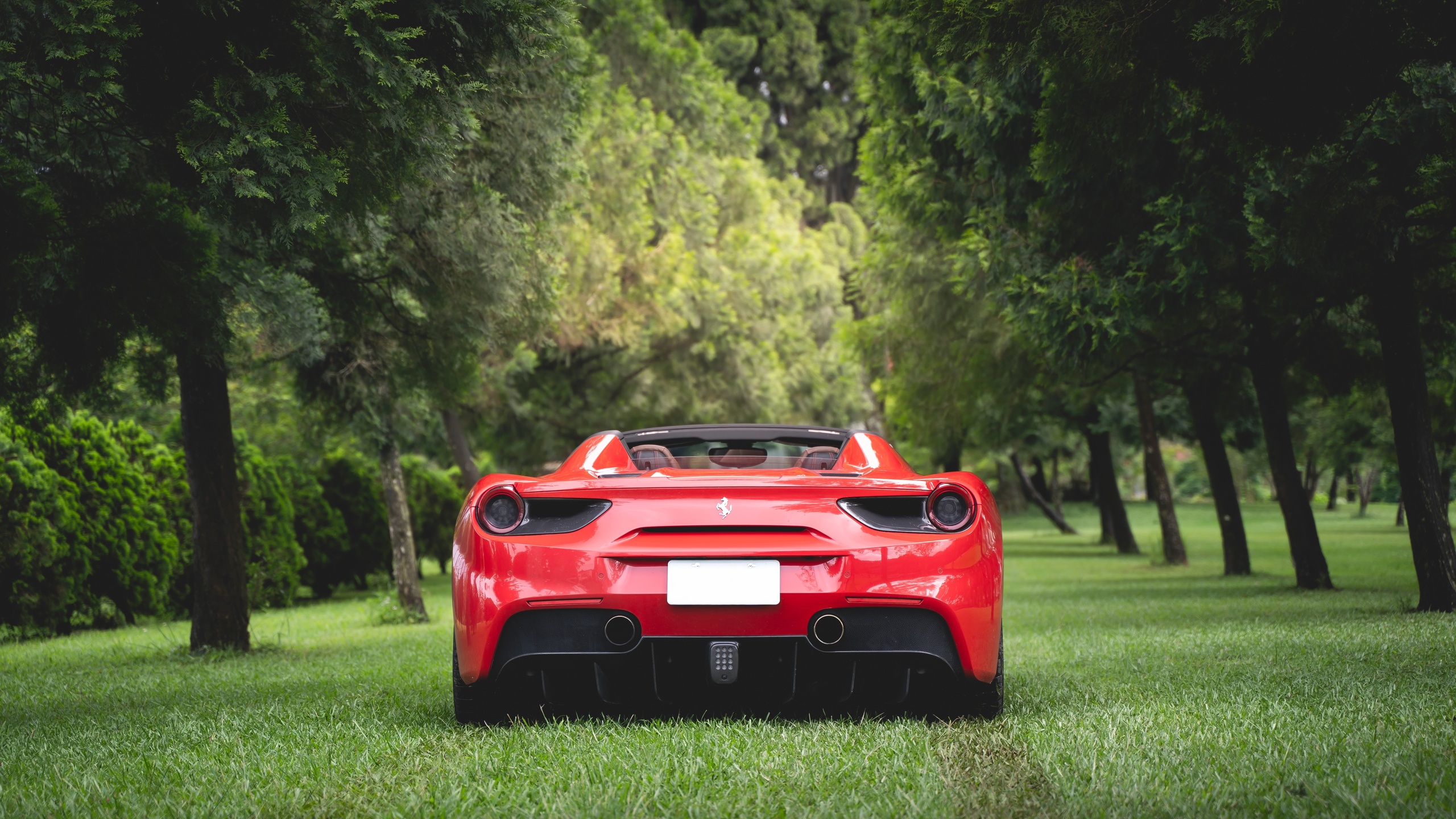 ferrari, 488, spider