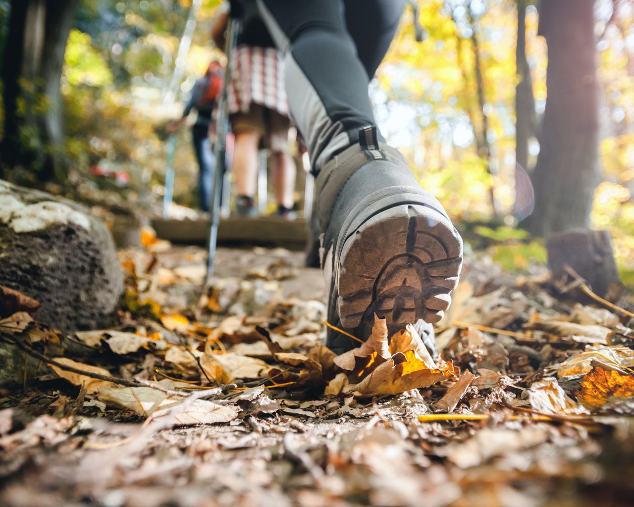 autumn, mountain trail, trekking sticks, hiker, performance footwear