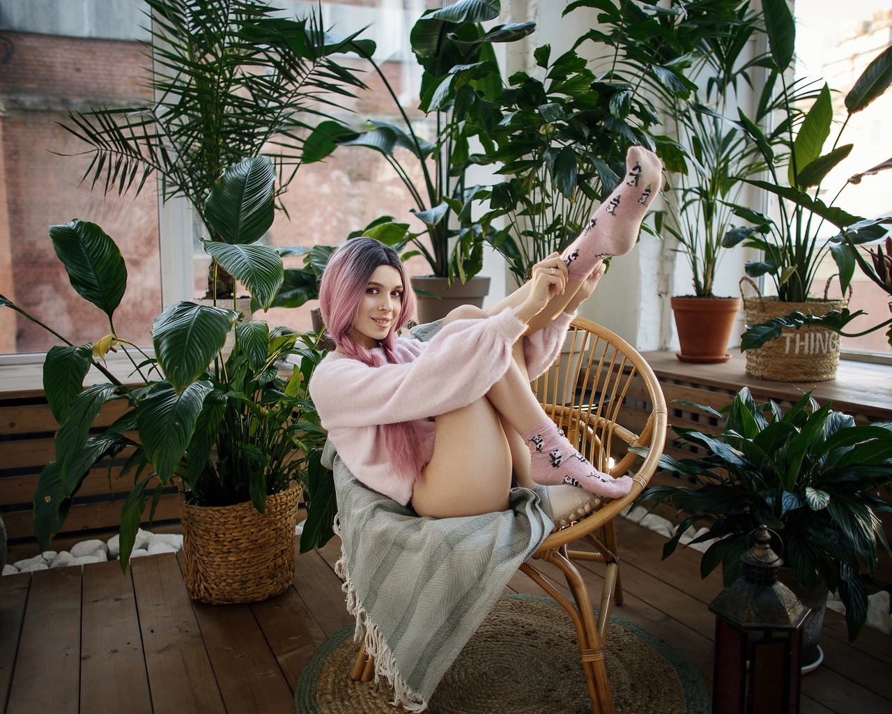 maksim chuprin, women, model, brunette, pink hair, women indoors, chair, ass, black panties, panties, hips, plants, ass, pierced nose