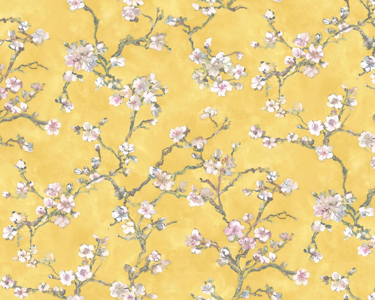 sakura, bernardo bartalucci carlotta, spring, wallpapers